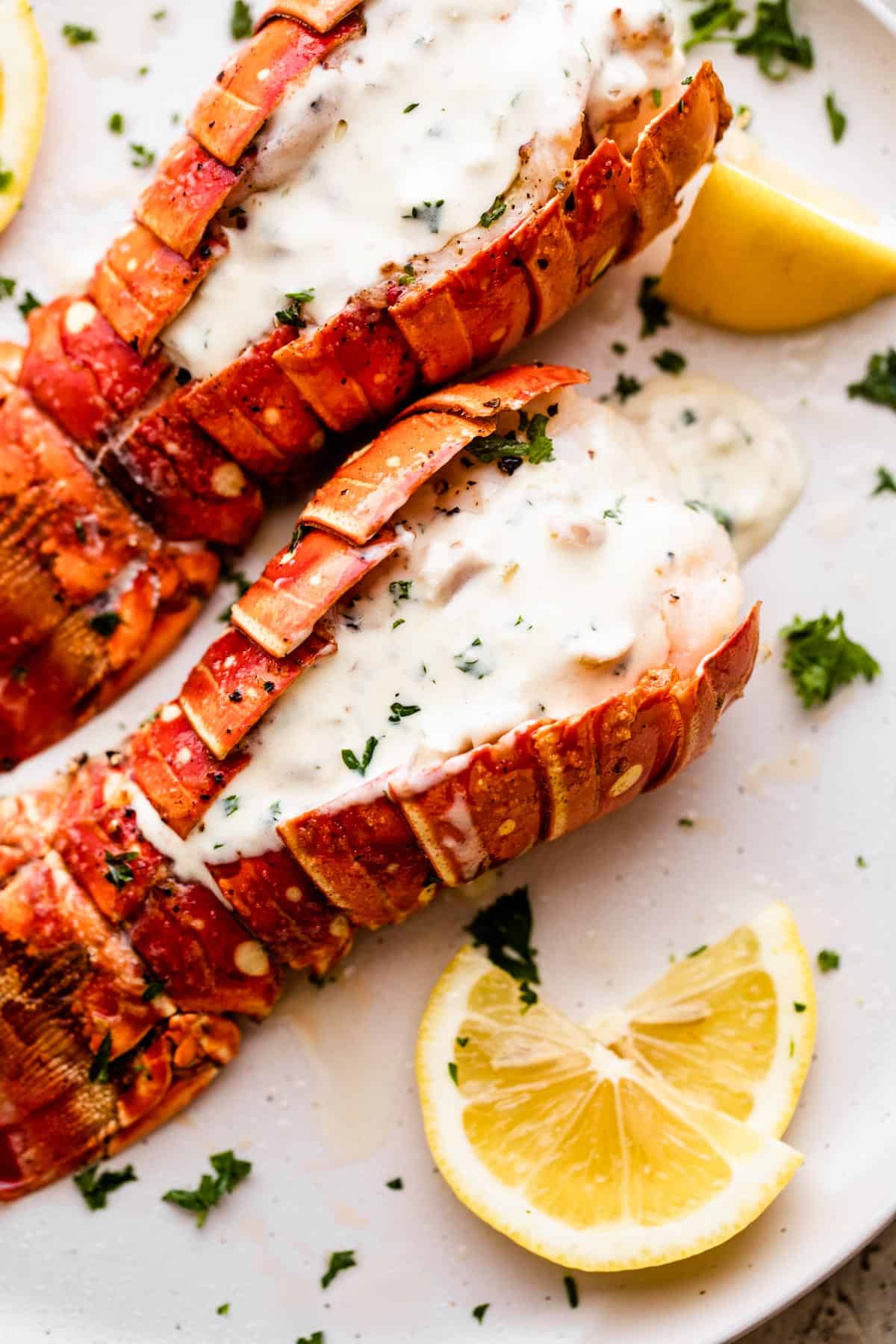 two air fryer cooked lobsters arranged on a dinner plate and topped with cream sauce.