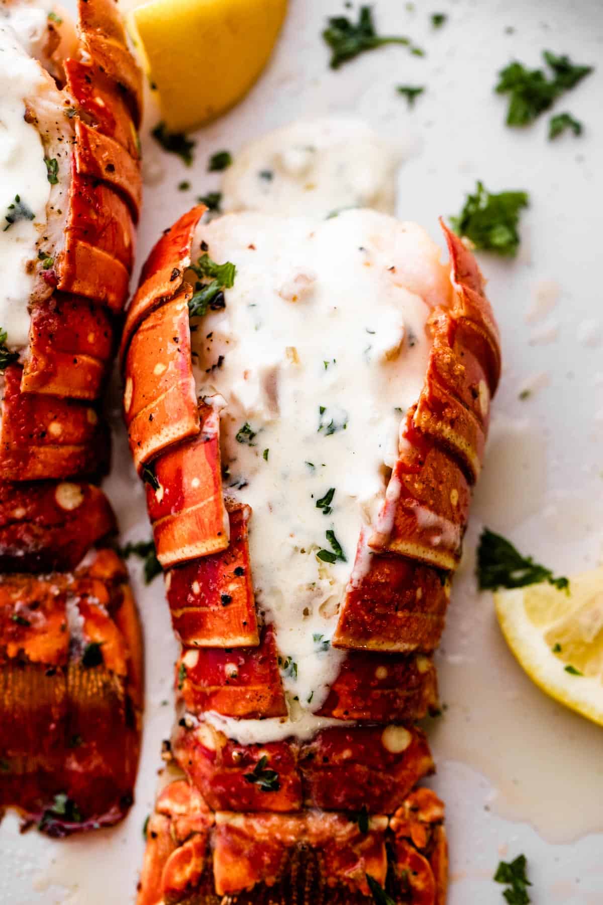 two air fryer cooked lobsters arranged on a dinner plate and topped with cream sauce.