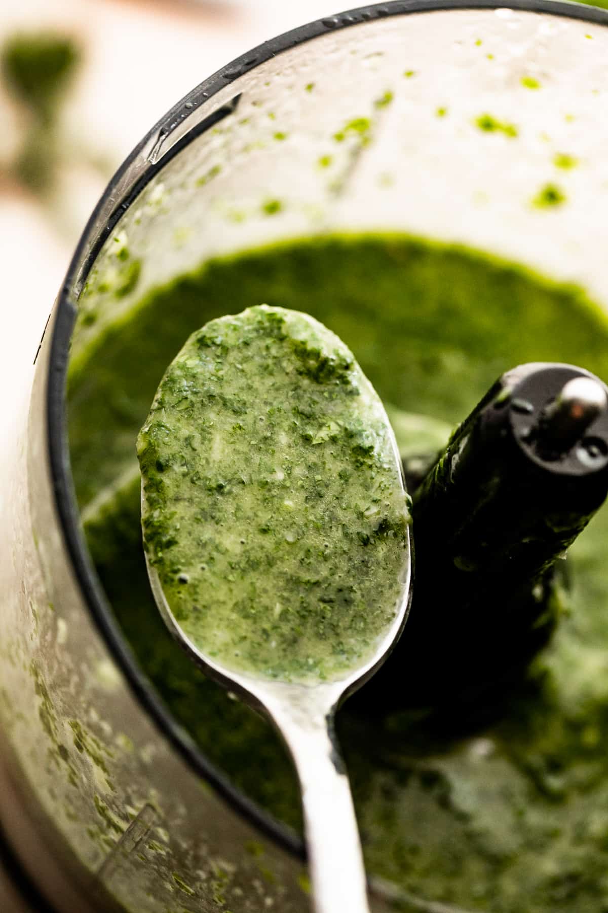A spoon holding a scoop of basil-garlic dressing up to the camera.