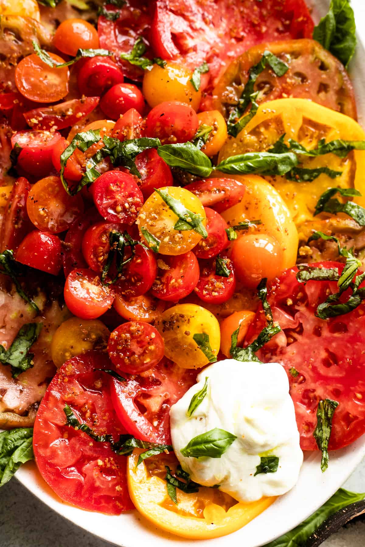 up close shot of sliced heirloom tomatoes arranged on an oval platter, with halved cherry tomatoes placed in the center, burrata cheese at the top of the plate and the bottom, and a garnish of basil over the entire salad.