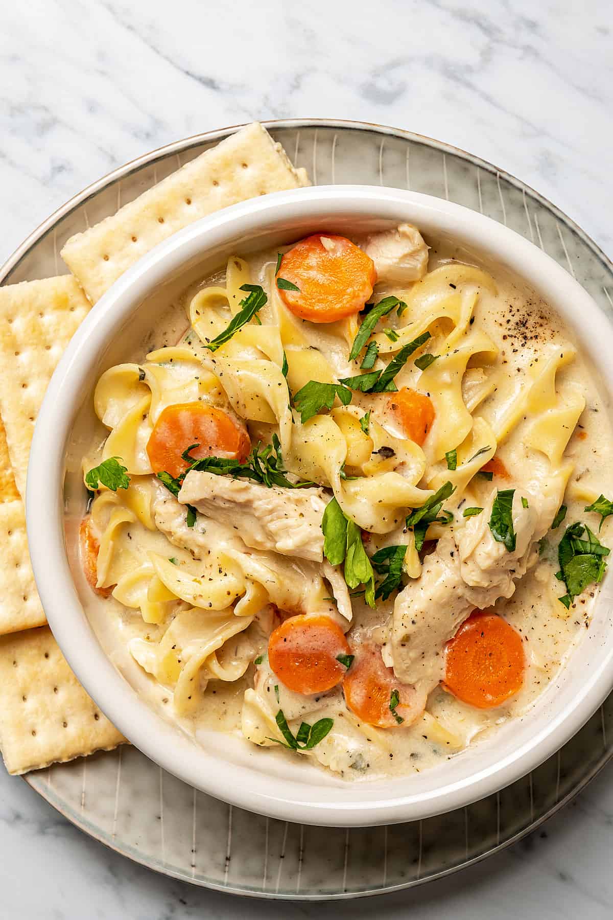Creamy soup with chicken, egg noodles, and carrots in a bowl.