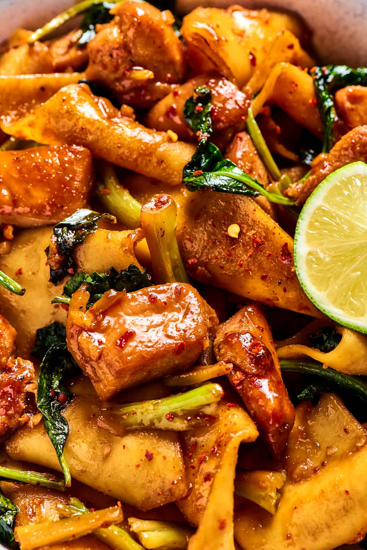 Close-up shot of noodles and chicken in a brown stir-fry sauce.