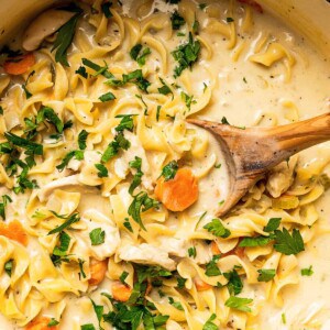 Egg noodles cooking in creamy soup.