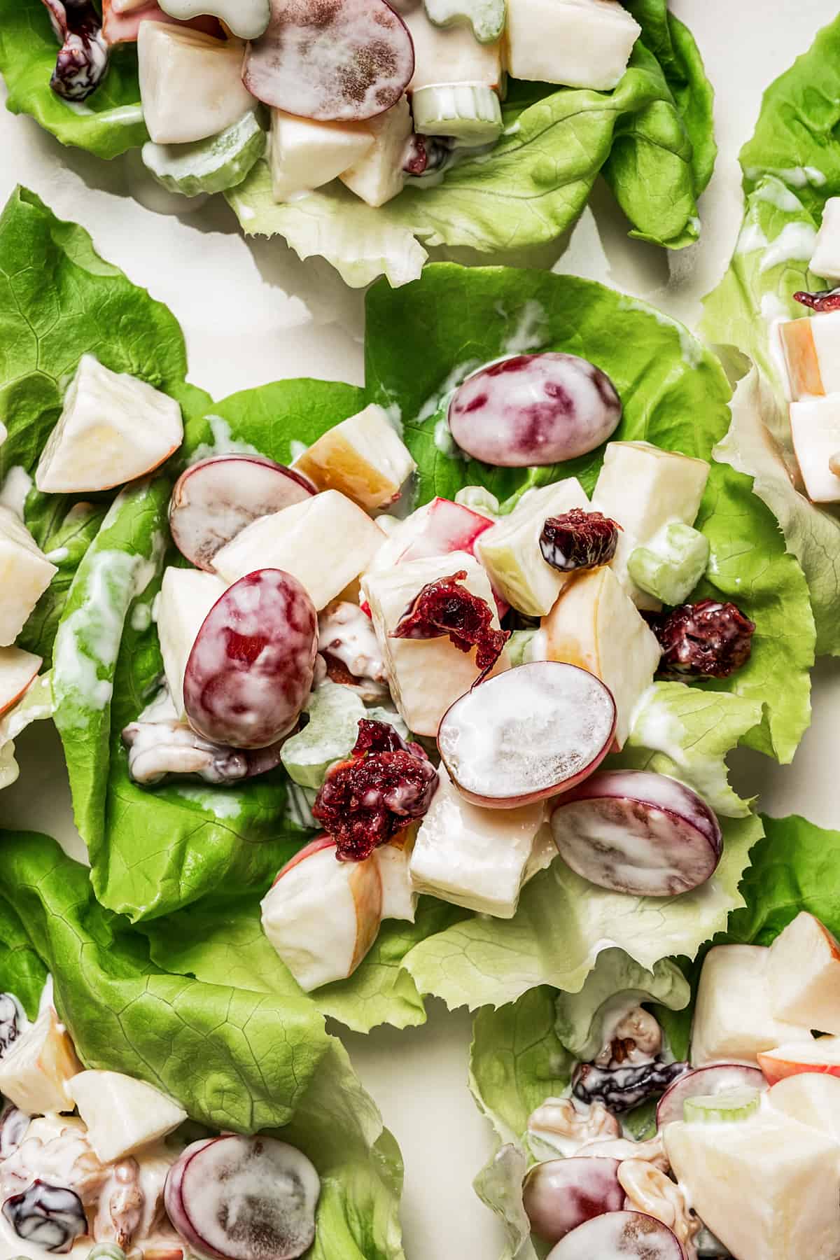 Fruit waldorf salad, arranged on lettuce leaves.