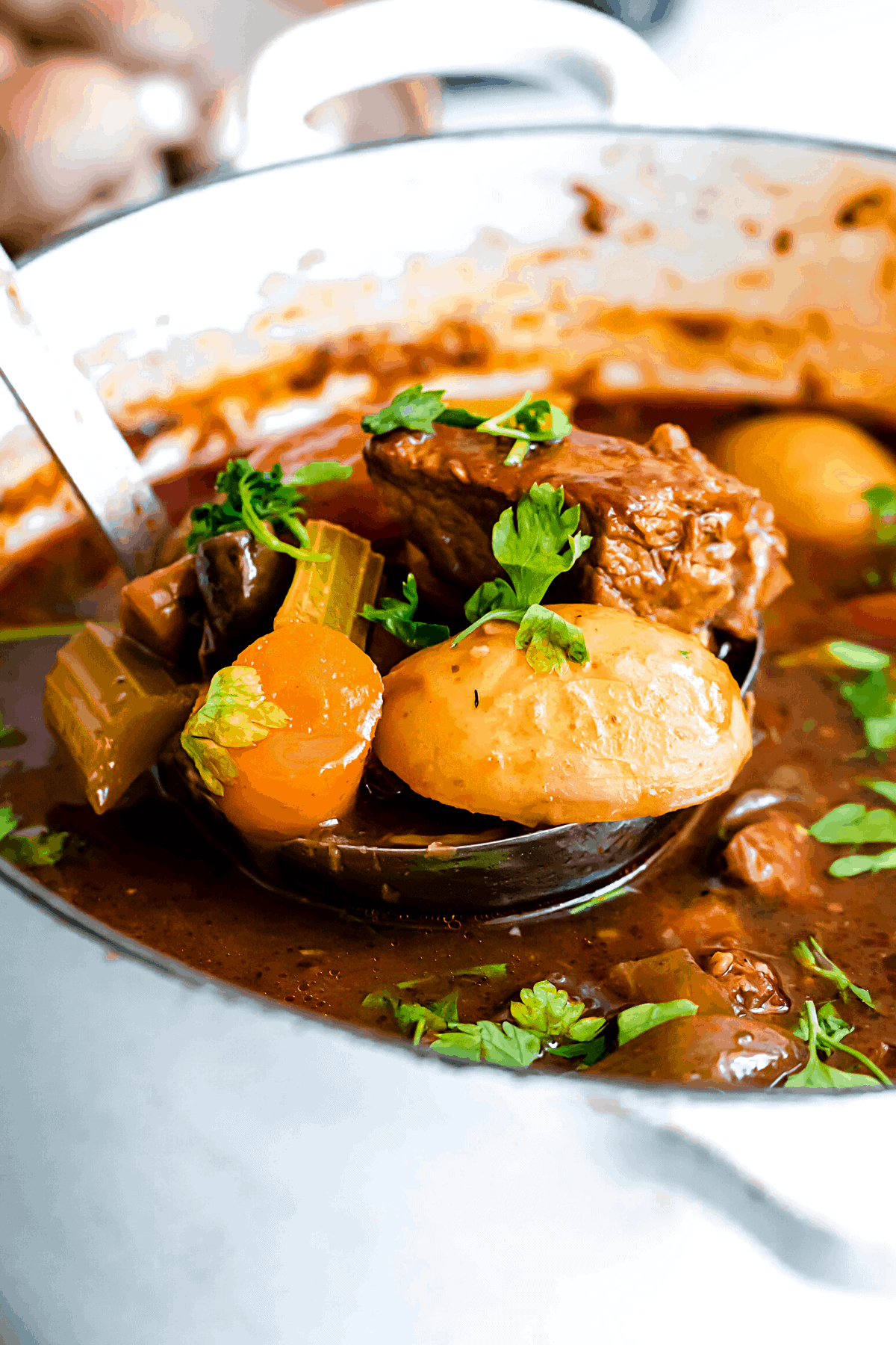 a ladle filled with guinness beef stew.