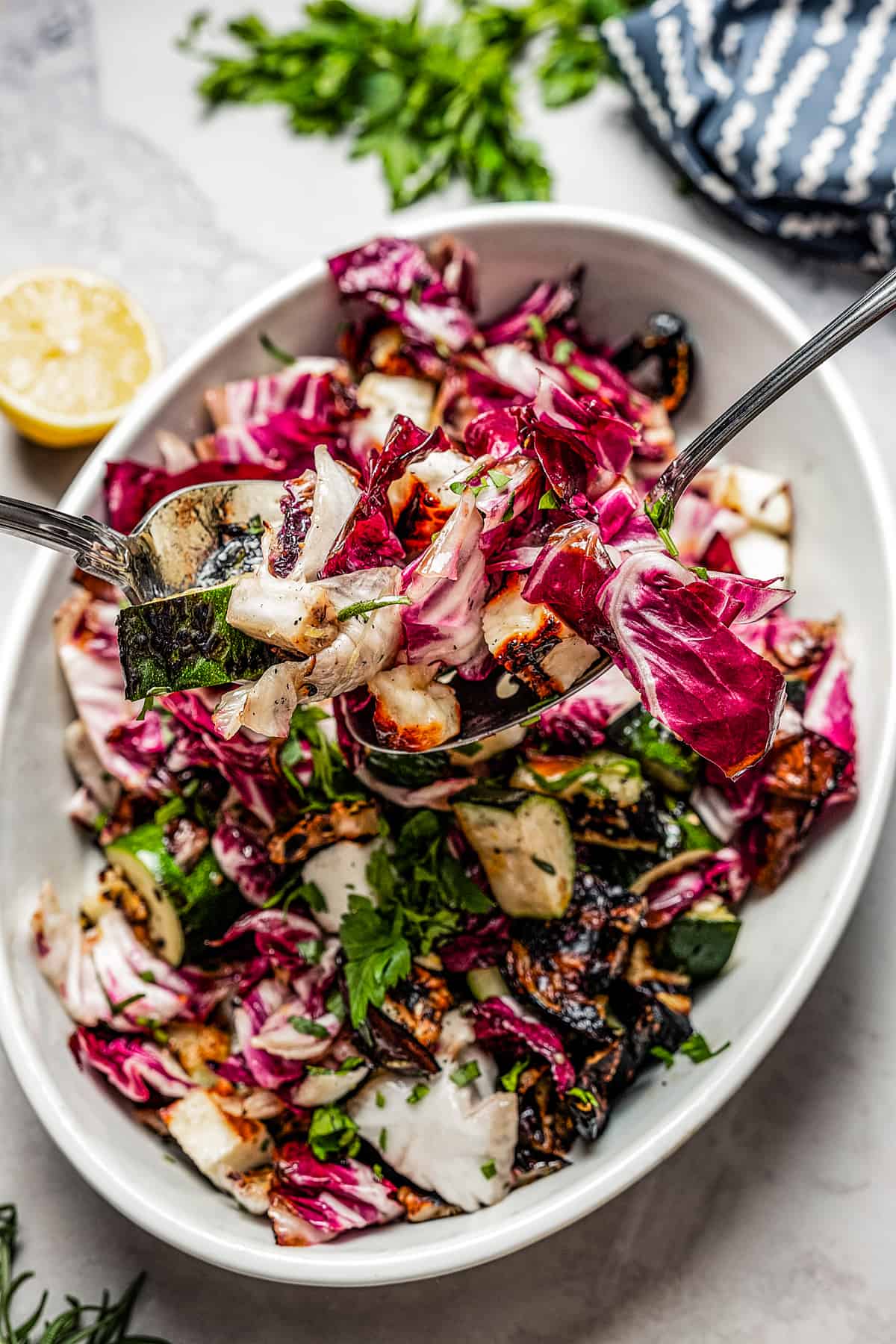 Overhead shot of grilled vegetable salad.