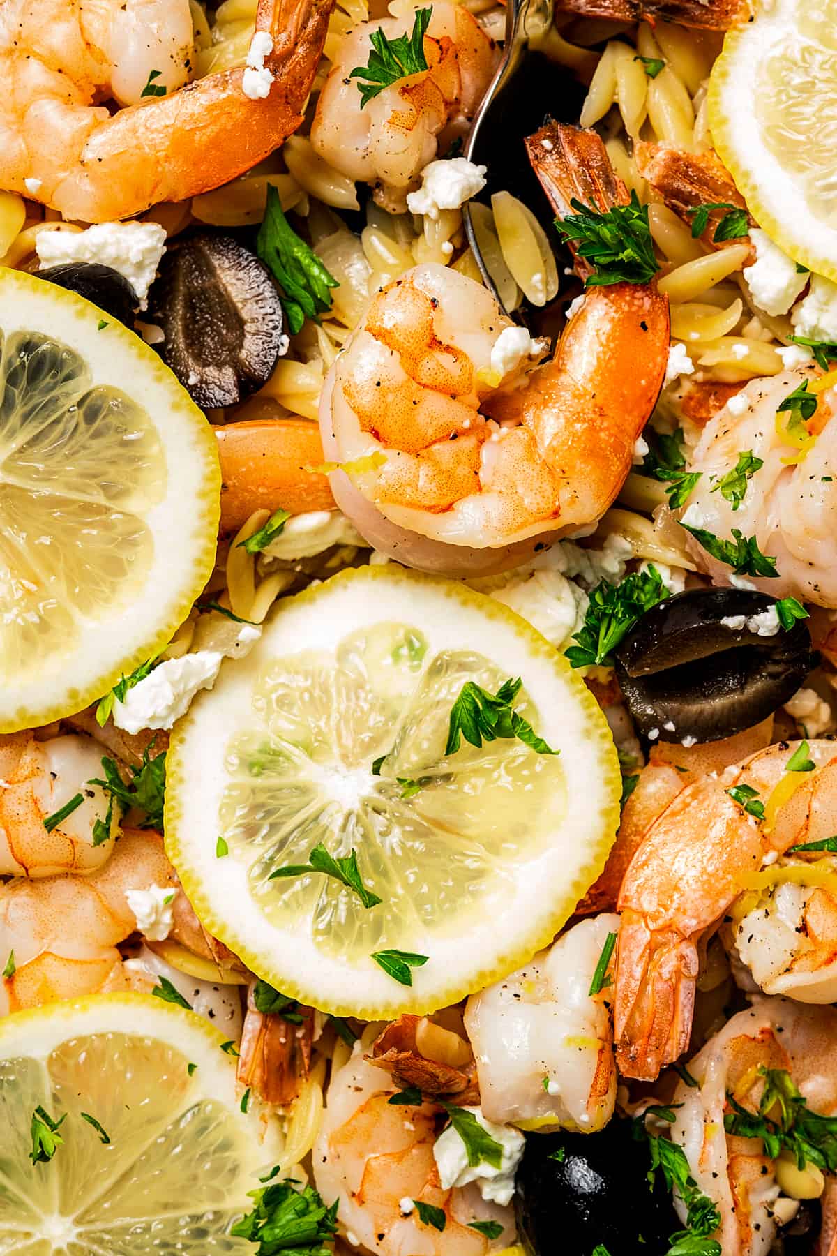 Close-up shot of lemon slices, cooked shrimp, and black olives on a bed of orzo.