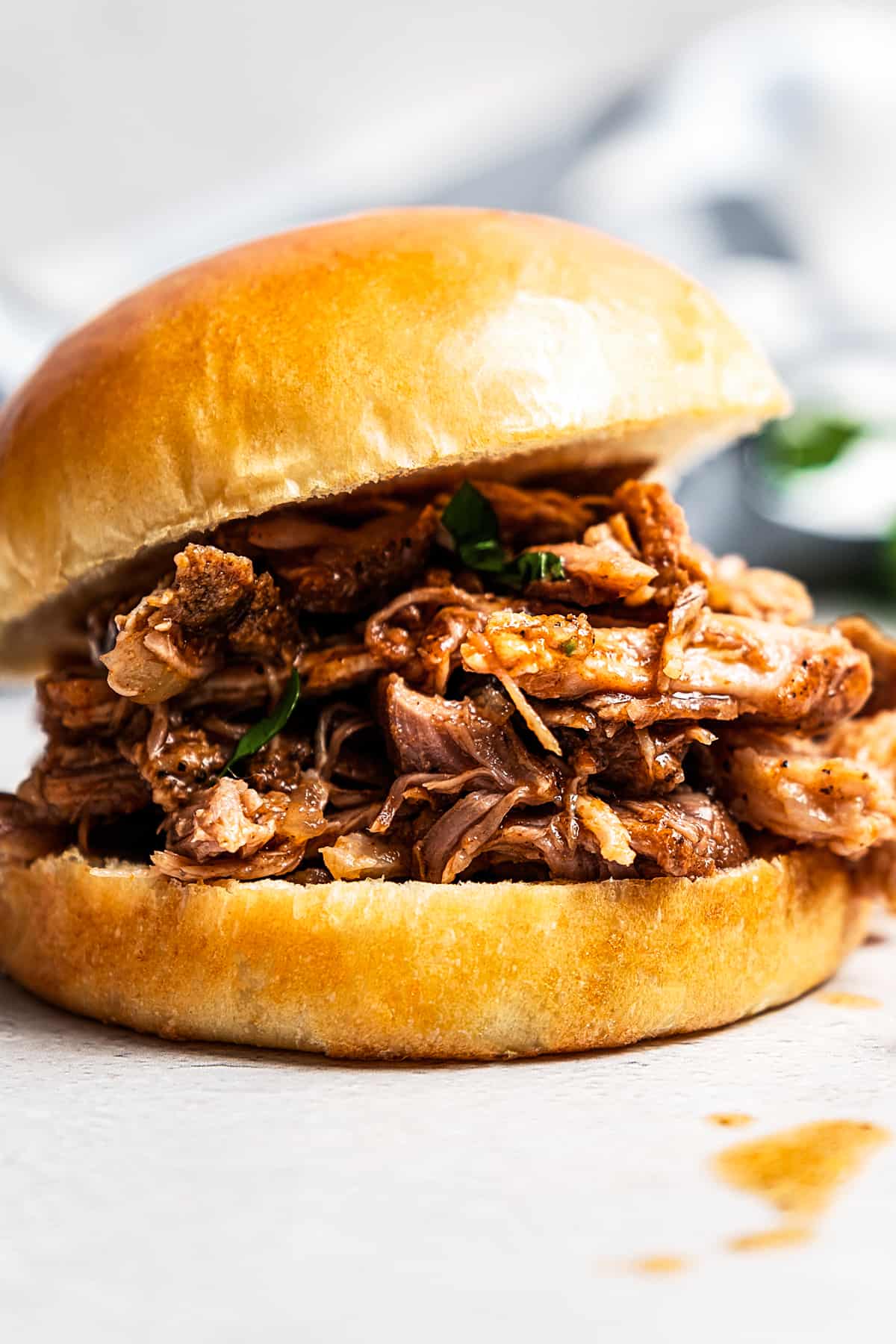 A barbecue pulled pork sandwich.
