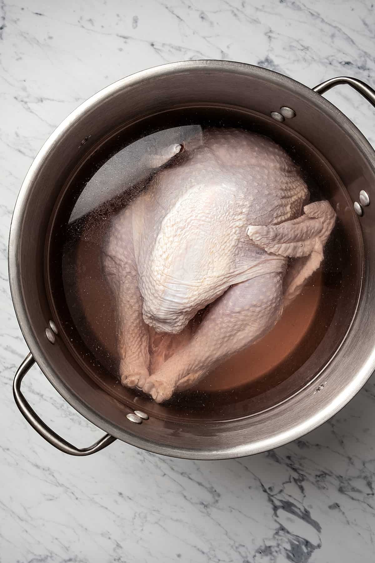 A whole turkey in a large stockpot of brine.