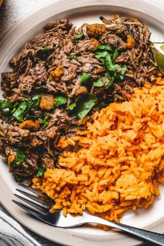 shredded pork with lime and garlic next to spanish rice.