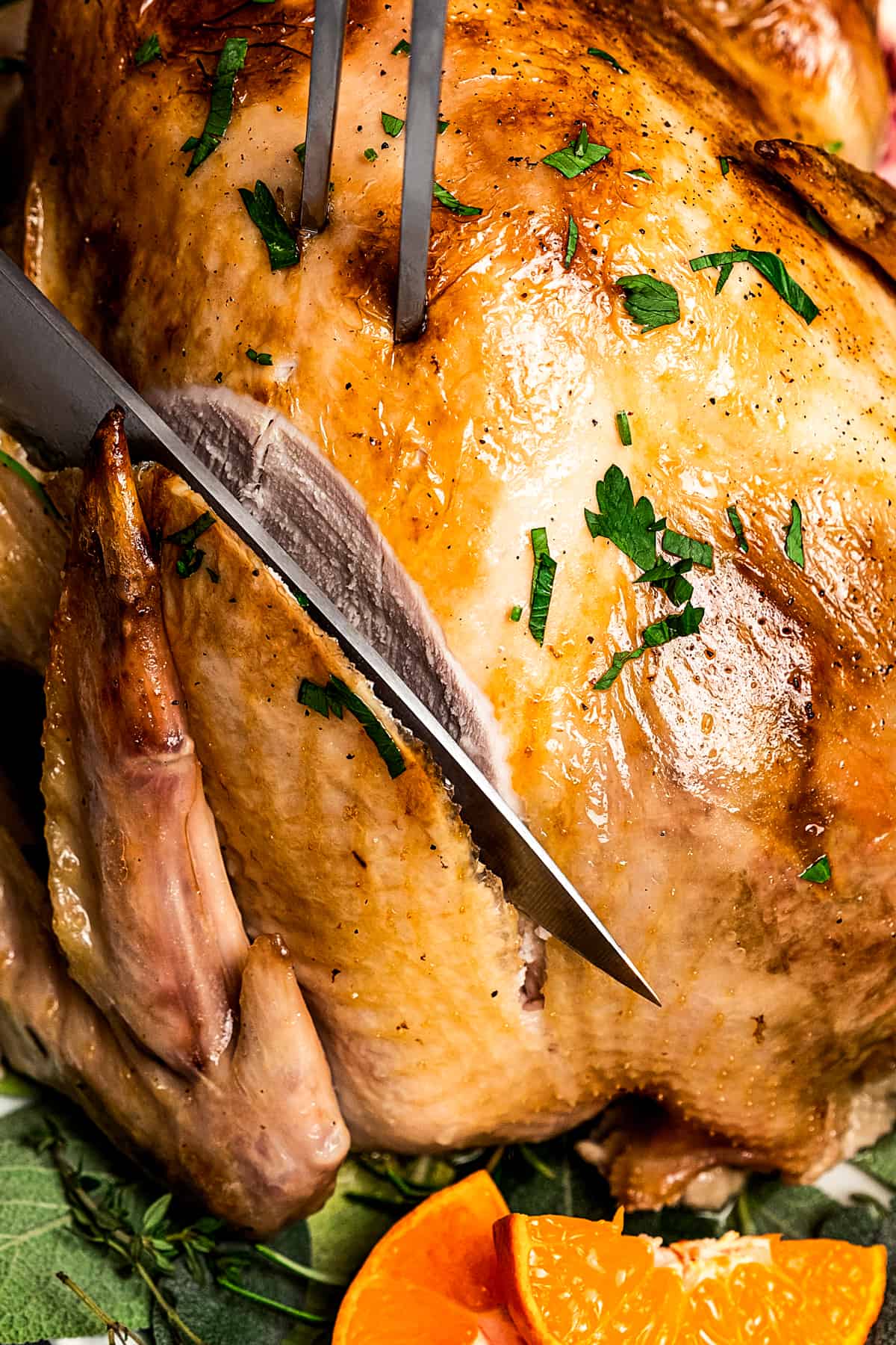 Slicing into the breast meat of a roasted turkey.