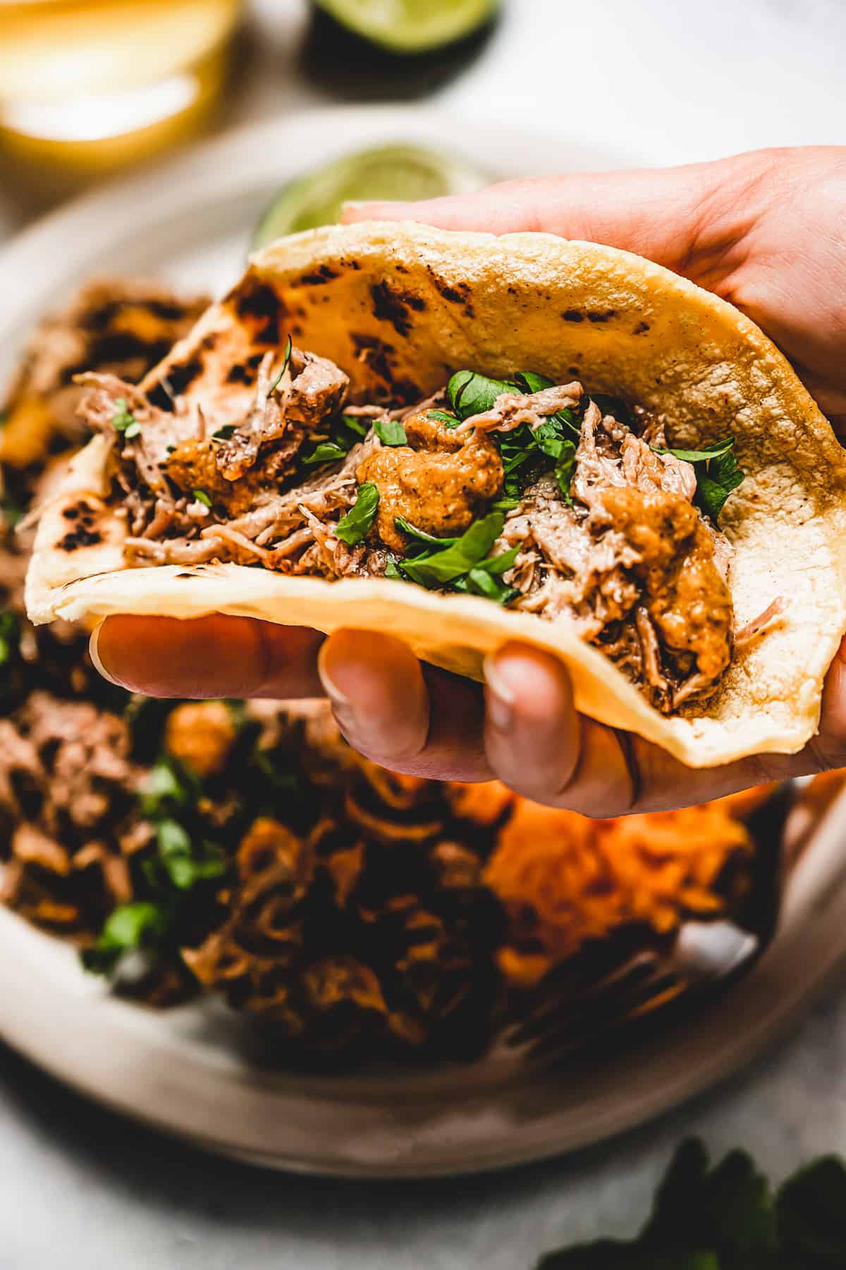 hand holding a flour tortilla filled with shredded puerto rican pernil.
