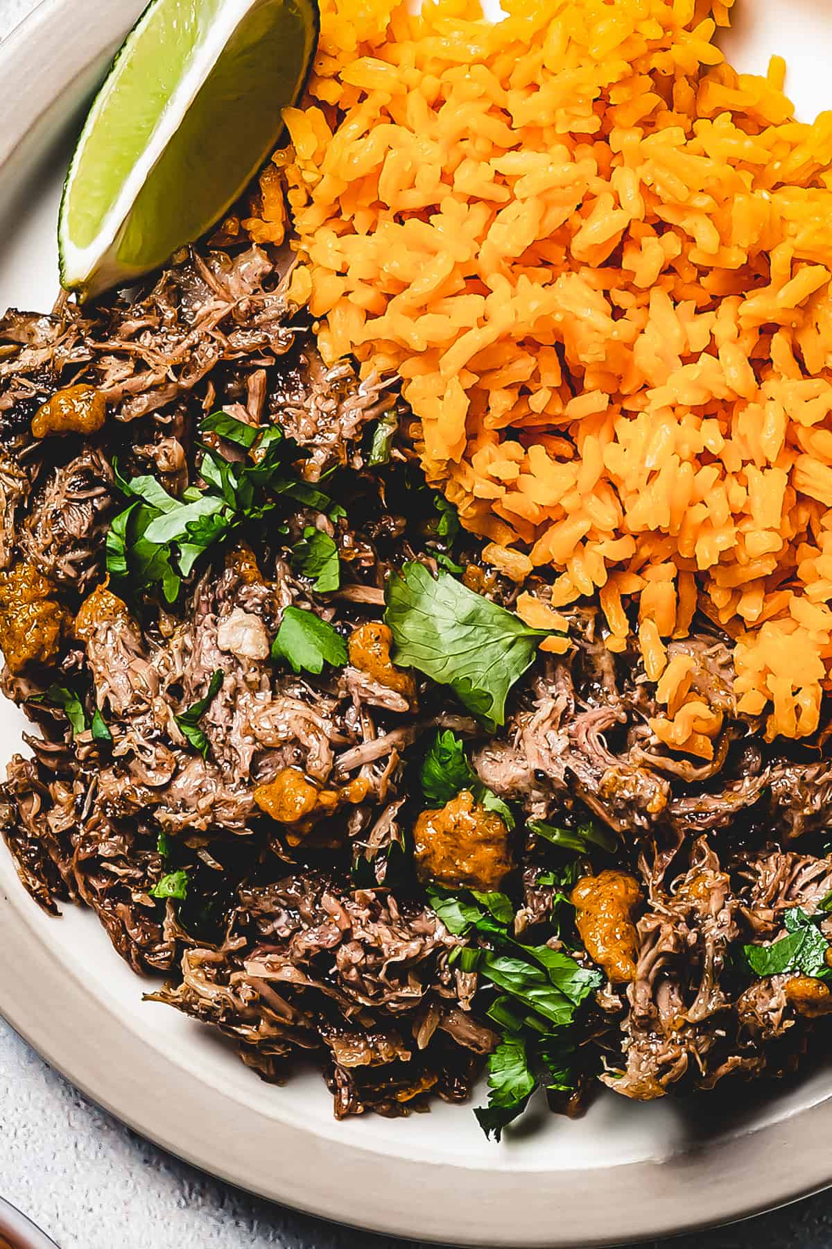 Rice and pernil on a white dinner plate.