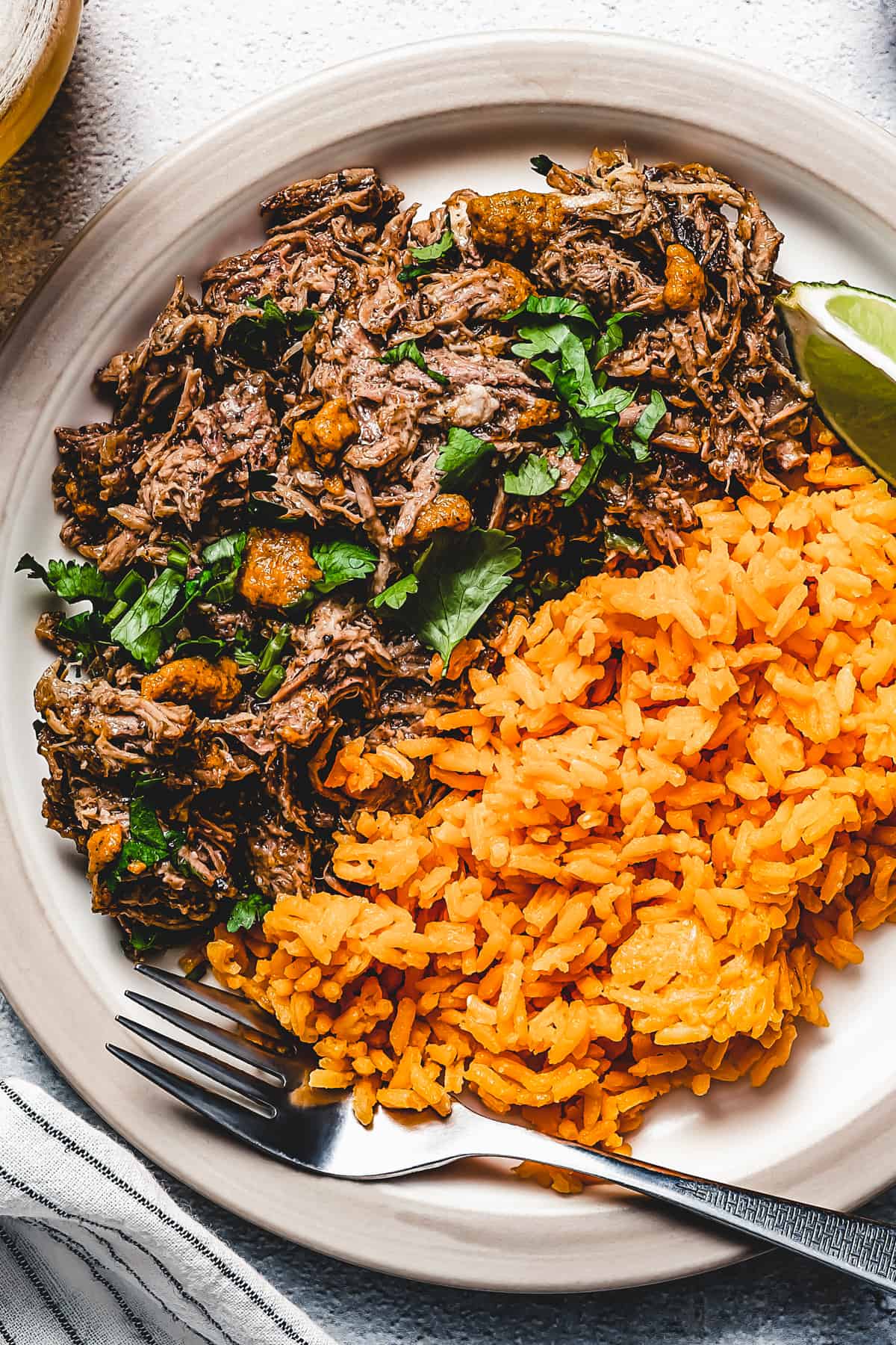 shredded pork with lime and garlic next to spanish rice.