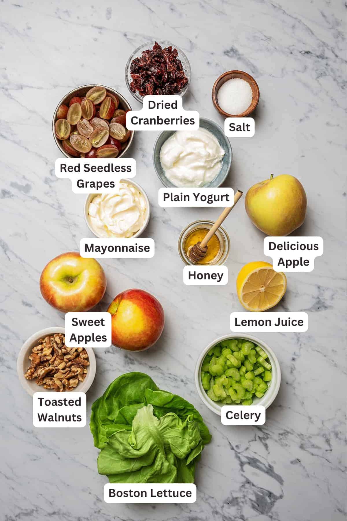 Ingredients for Classic Waldorf Salad.