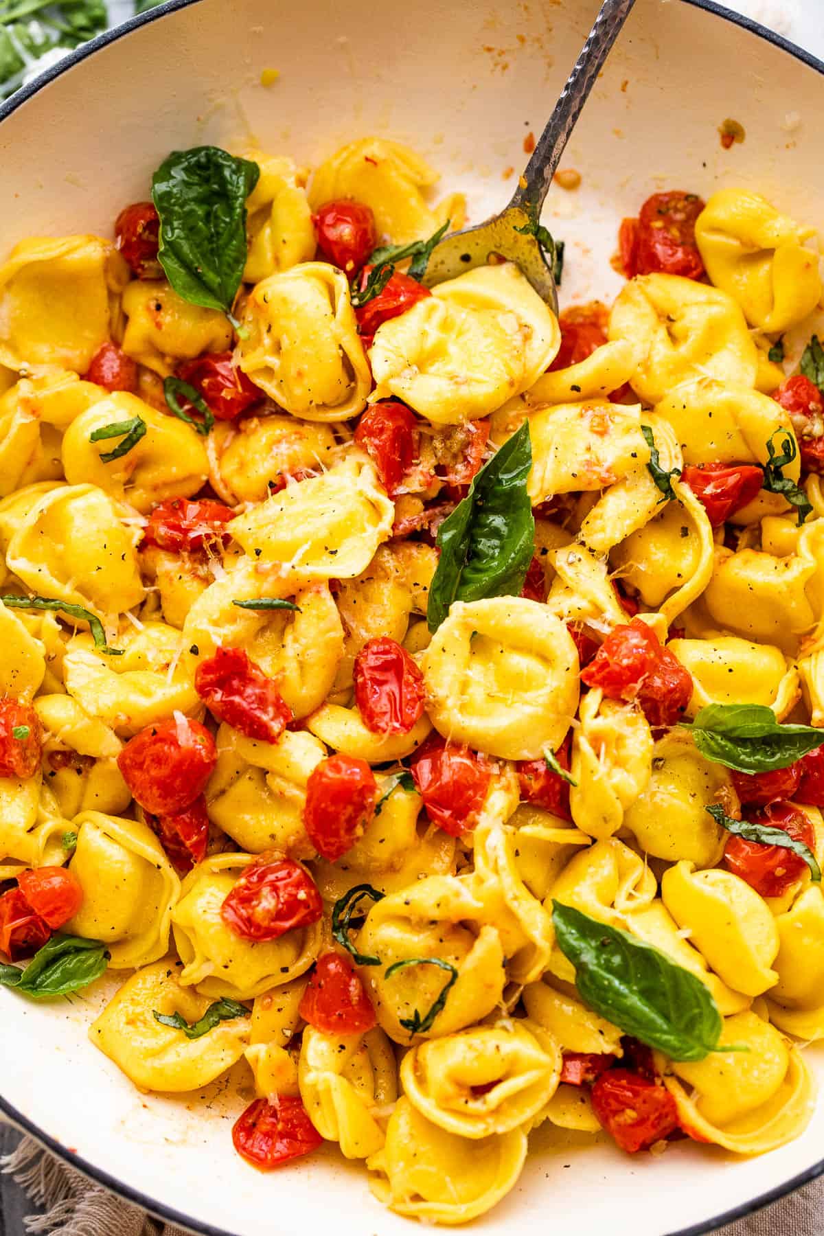 Cheese Tortellini with Roasted Tomatoes served in a white bowl.