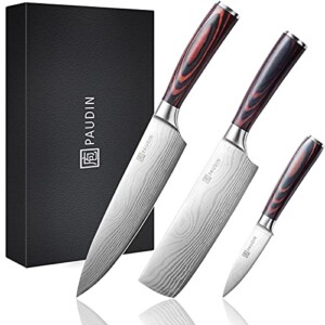 PAUDIN Kitchen Knife Set