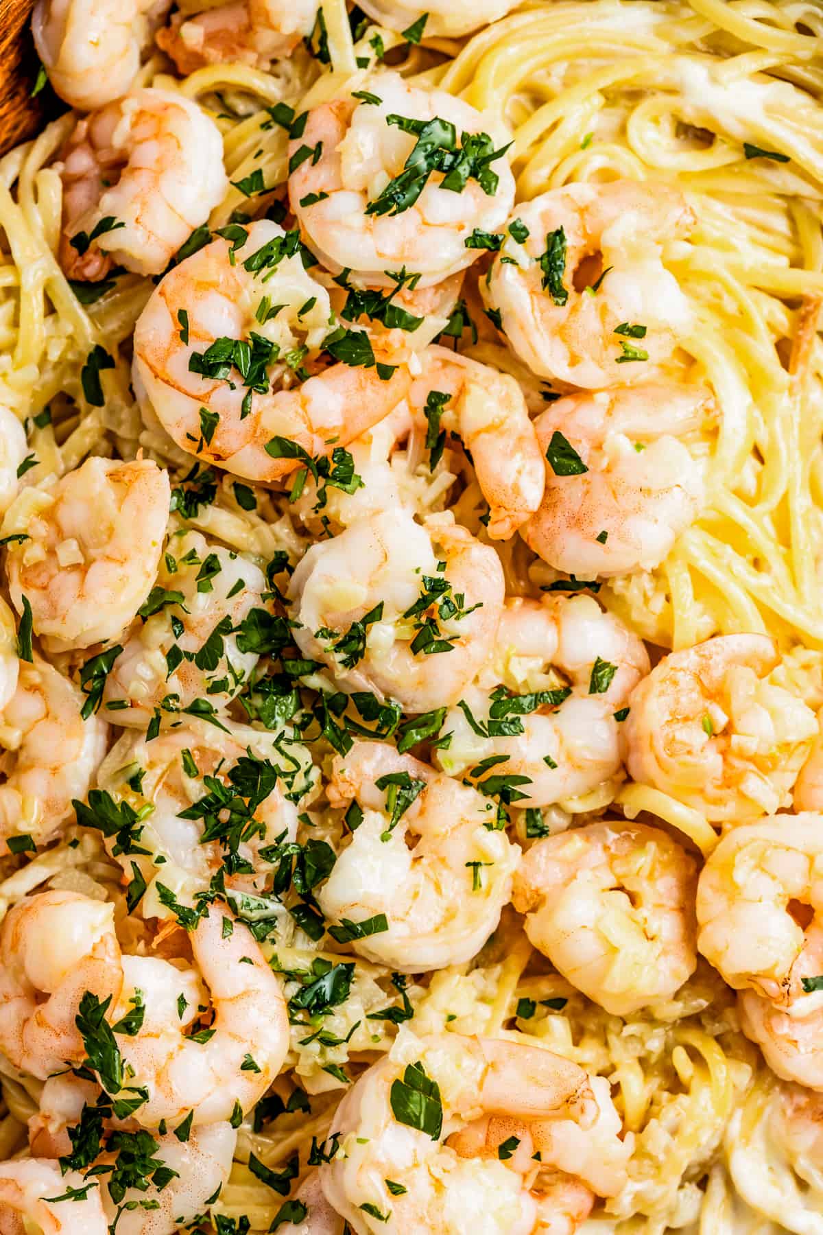 up close shot of shrimp arranged over linguine pasta and garnished with green herbs.