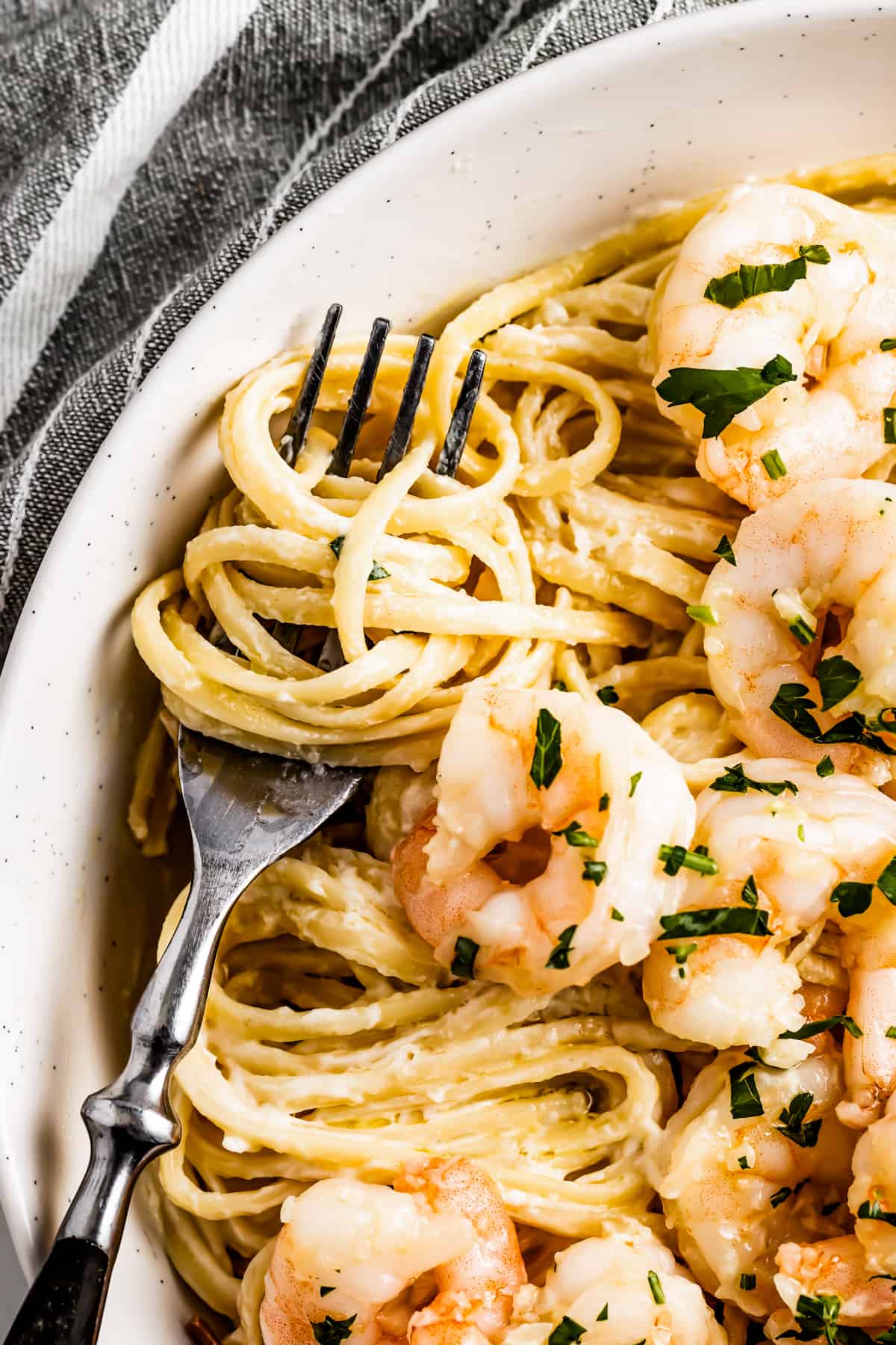 Close-up of homemade alfredo pasta with shrimp, with some of the pasta twirled around a fork.