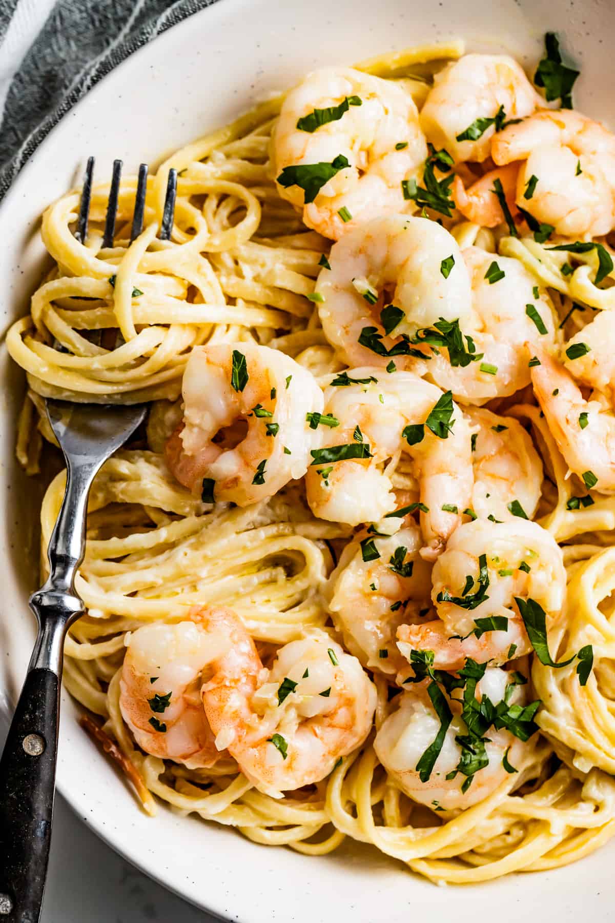 Homemade alfredo pasta twirled around a fork, with shrimp arranged around the pasta.