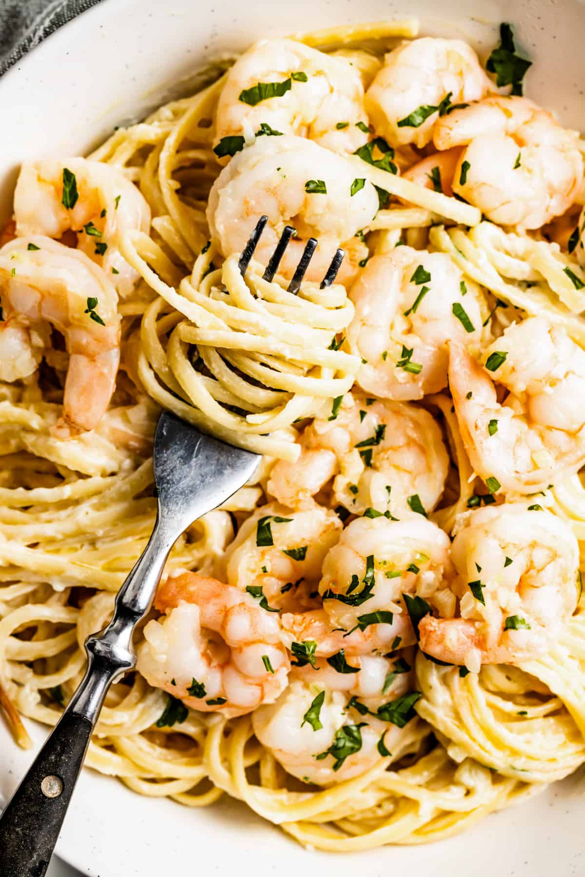 Close-up of homemade alfredo pasta with shrimp.