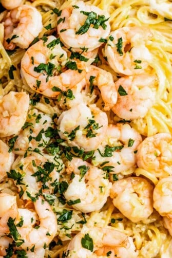 up close shot of shrimp arranged over linguine pasta and garnished with green herbs.