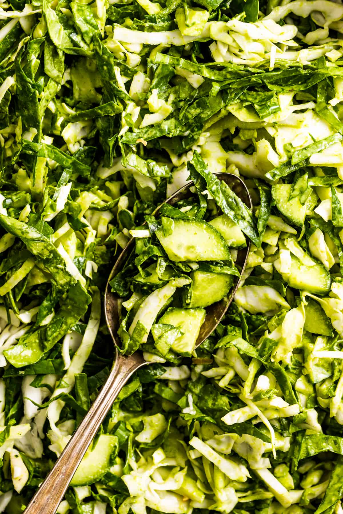 close up shot of salad greens, shredded cabbage, and sliced cucumbers