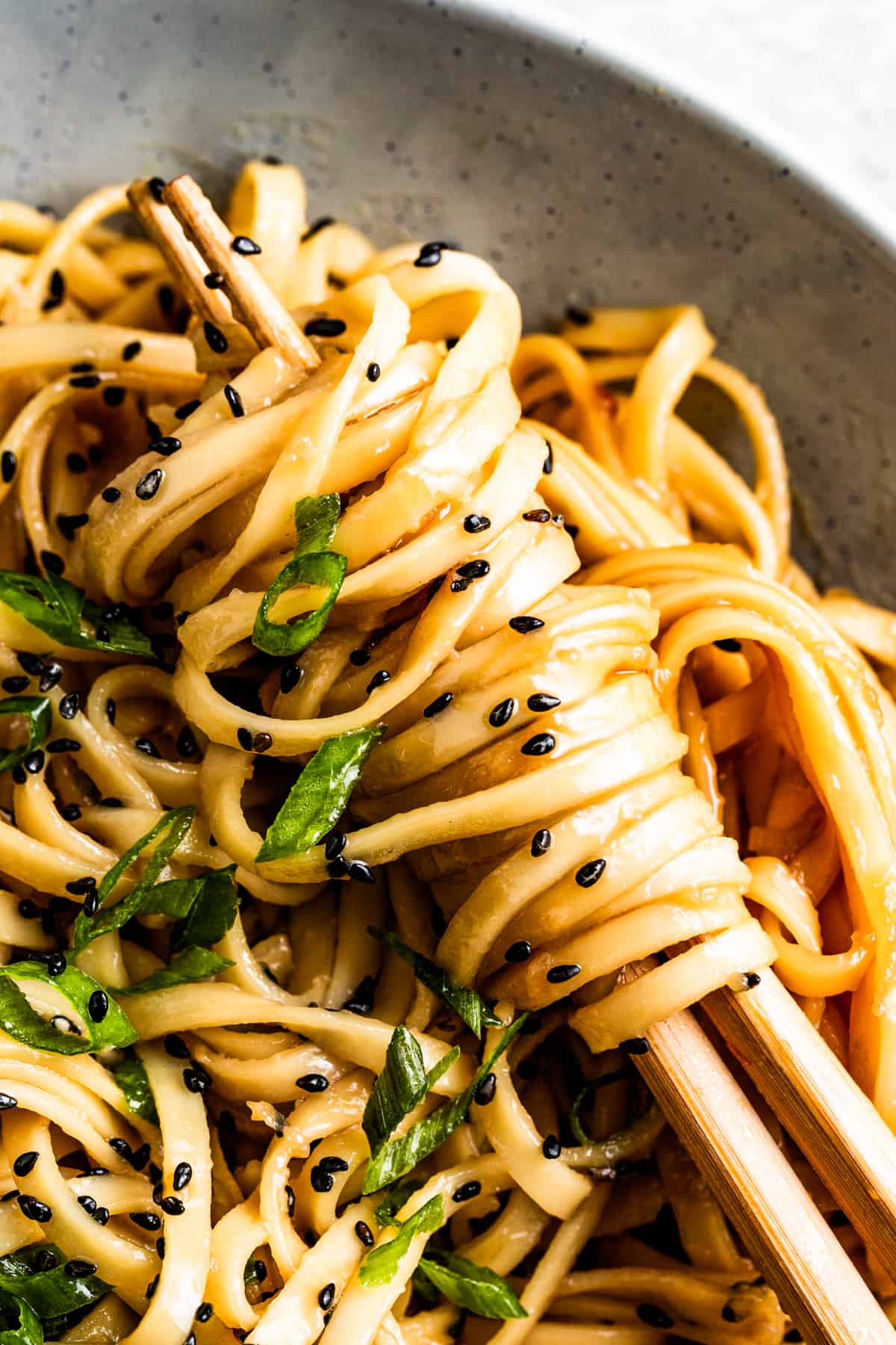 Close-up of easy teriyaki noodles with green onions and sesame seeds.