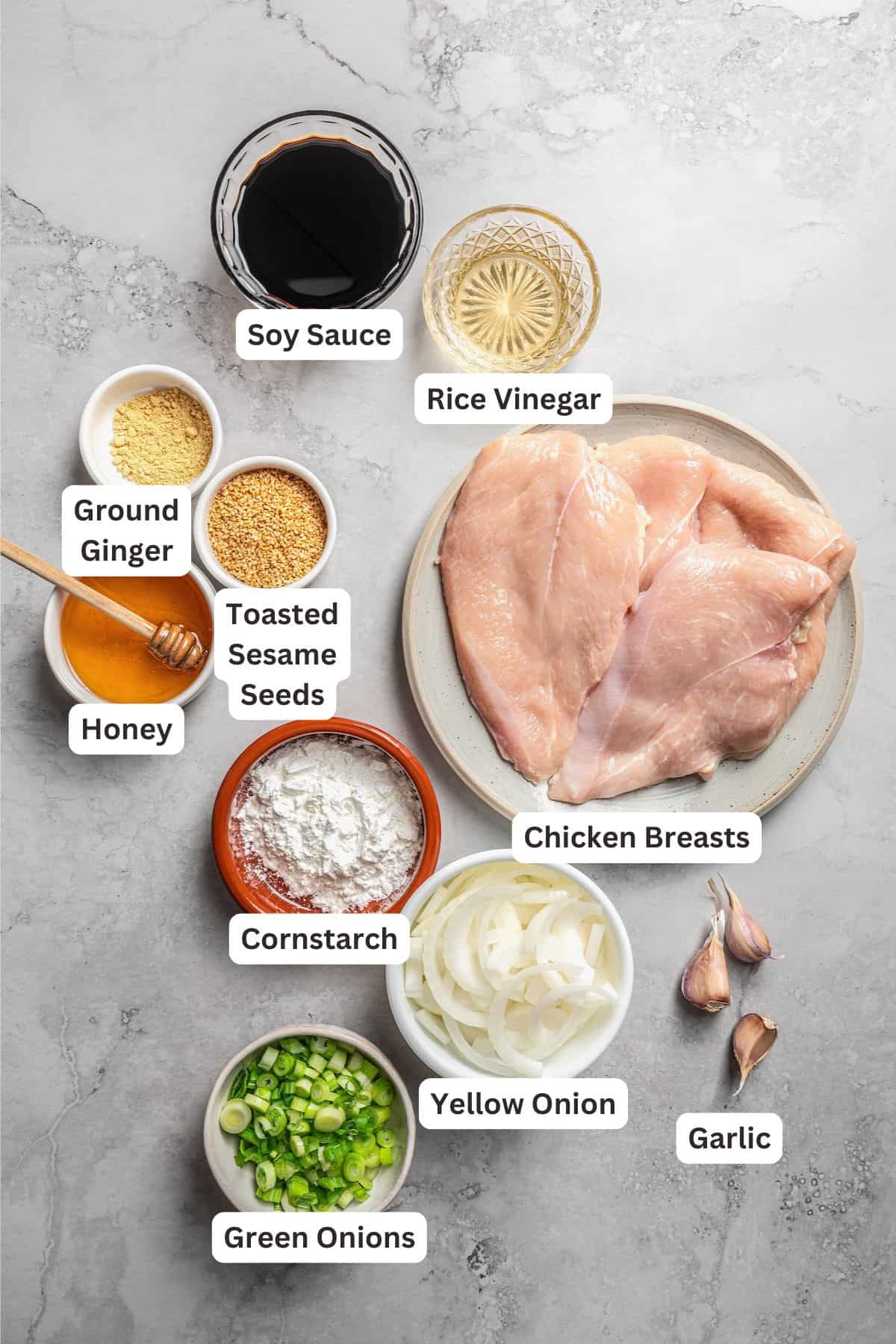 Ingredients for Chicken Teriyaki Recipe.