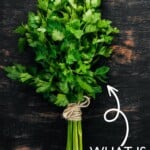 image of fresh parsley bunched together and tied at the stem.