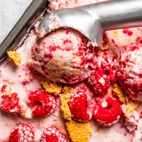 Cottage Cheese Ice Cream