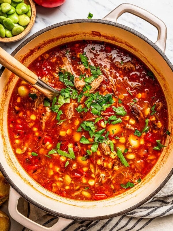 Overhead image of Brunswick stew in a pot.