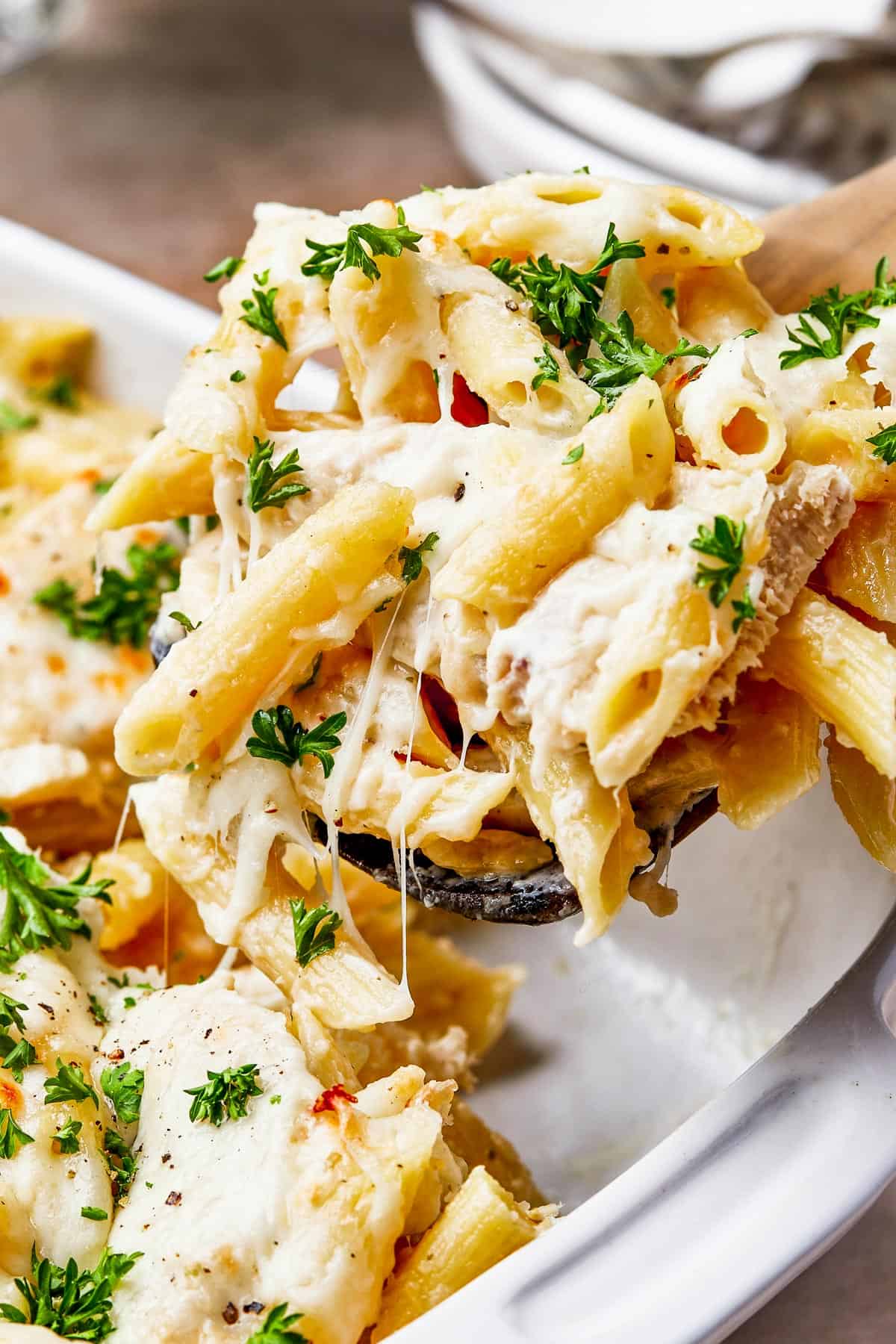 Close-up shot of a spoon holding baked pasta and chicken tossed in alfredo sauce.