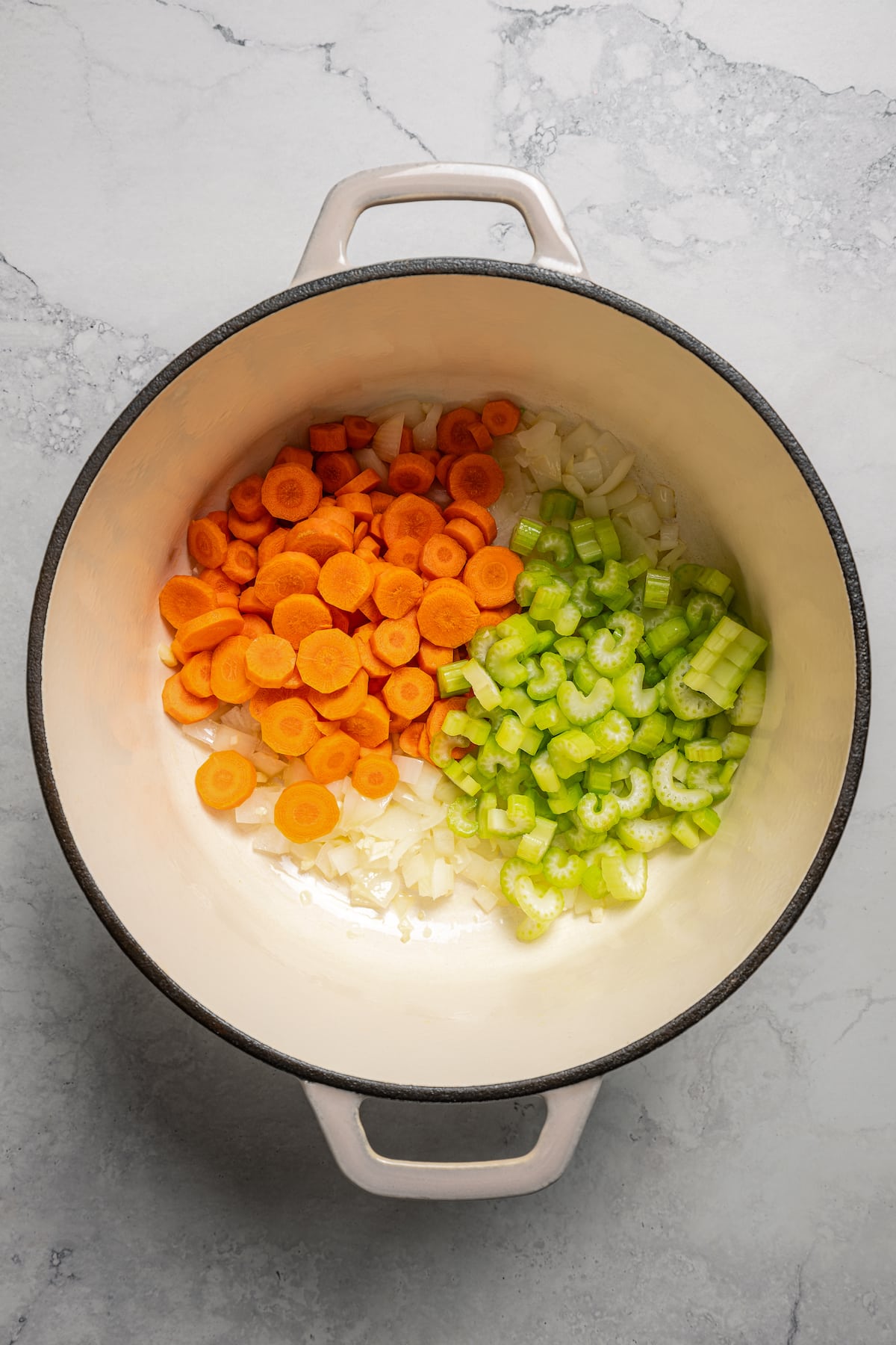 Chicken Vegetable Soup | Diethood