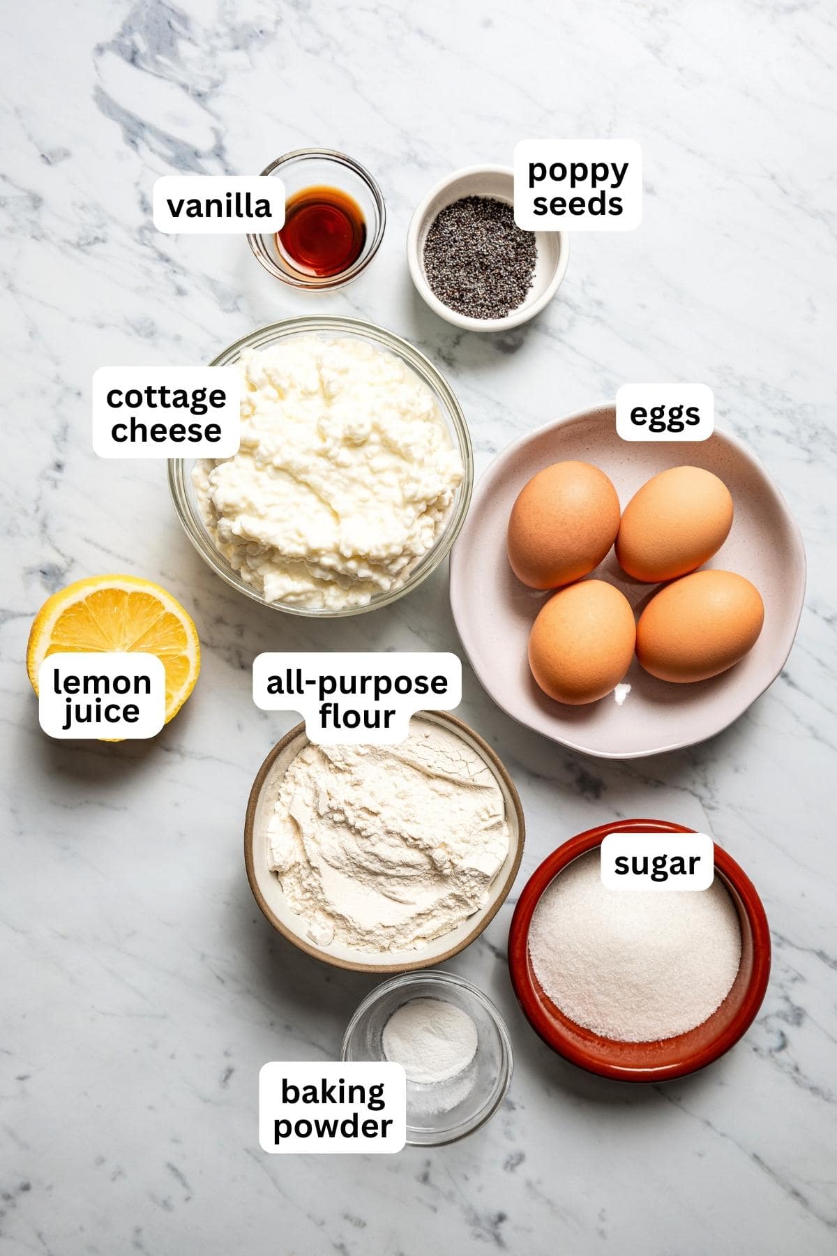 Overhead image of the ingredients for cottage cheese pancakes.