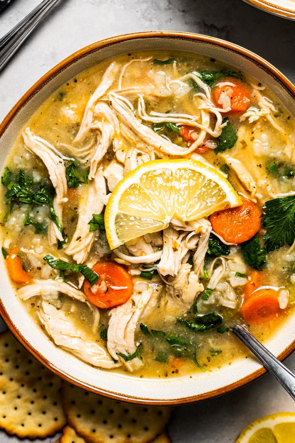 Chicken Vegetable Soup | Diethood