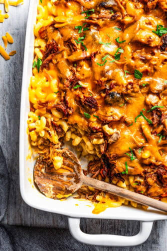 Pulled pork arranged atop mac and cheese in a baking dish.