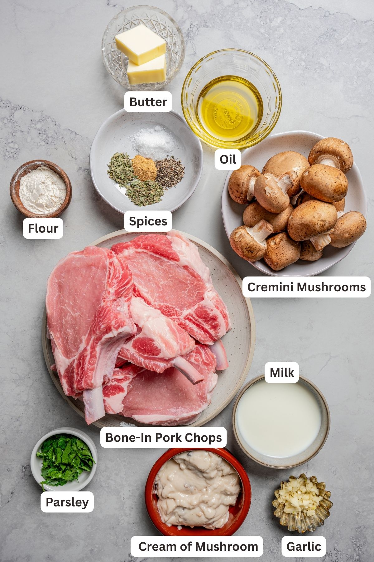 Labeled ingredients for cream of mushroom pork chops.
