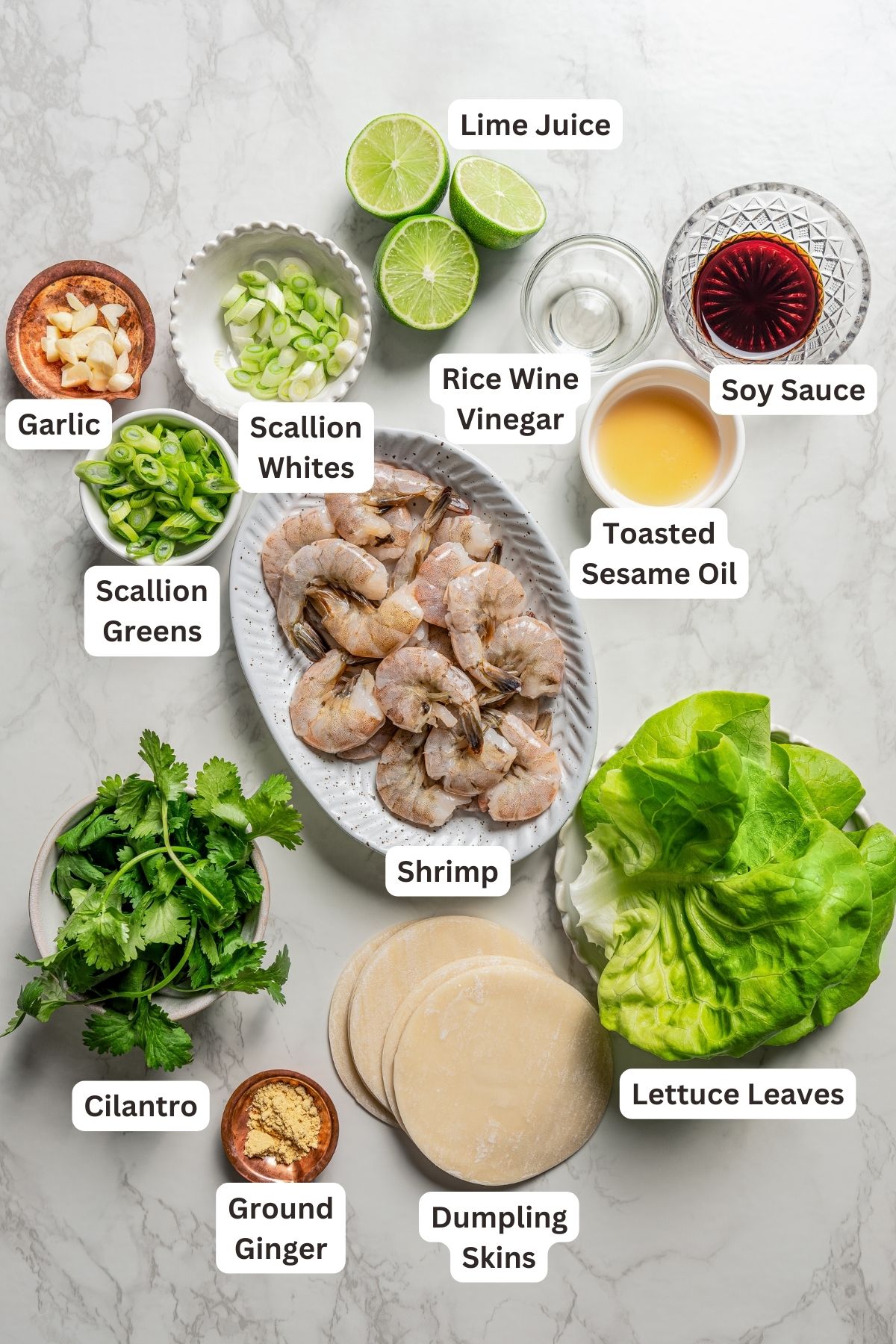 Ingredients for shrimp shumai with text labels overlaying each ingredient.