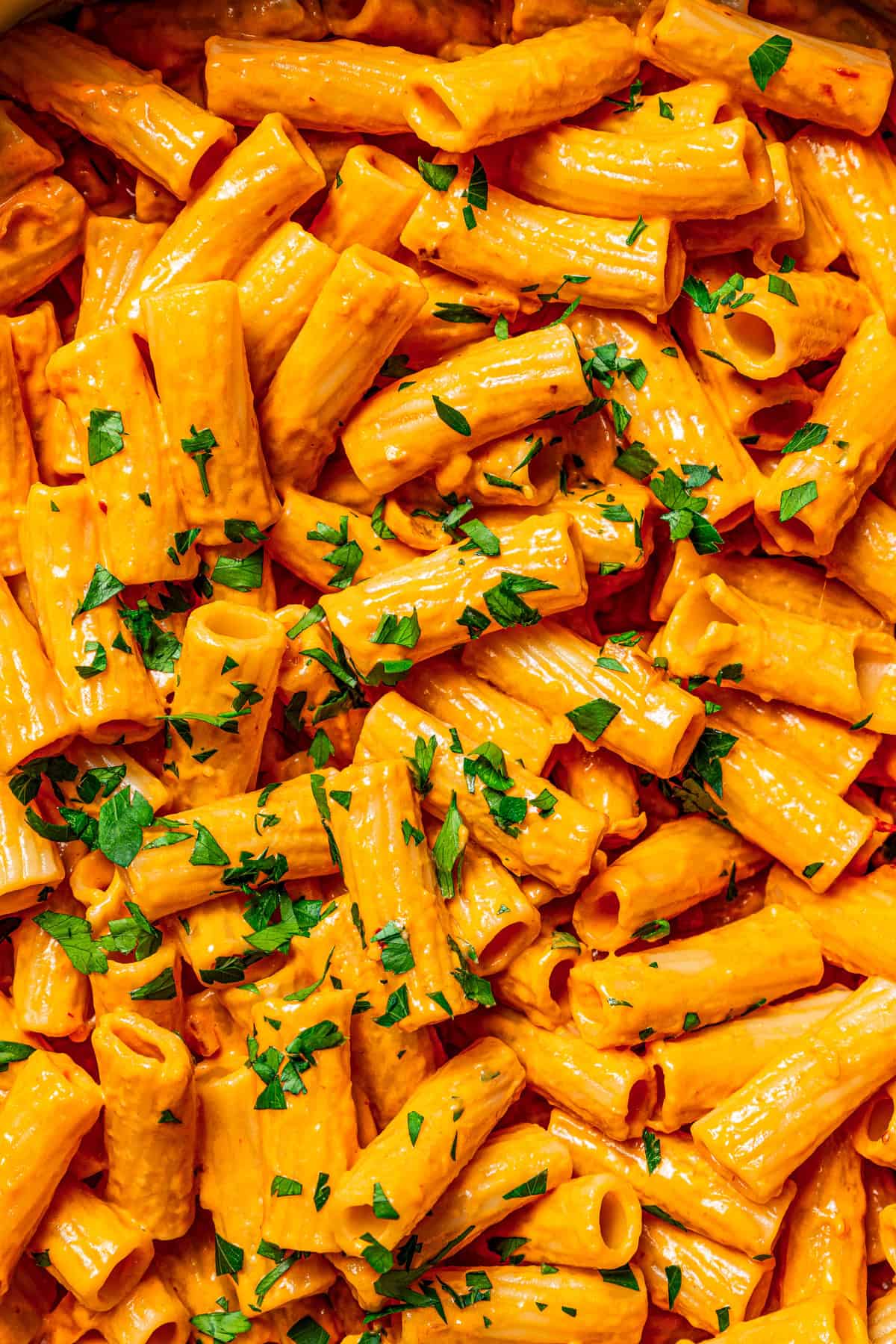 Close-up photo of cooked tube pasta in a spicy vodka sauce and garnished with chopped parsley.