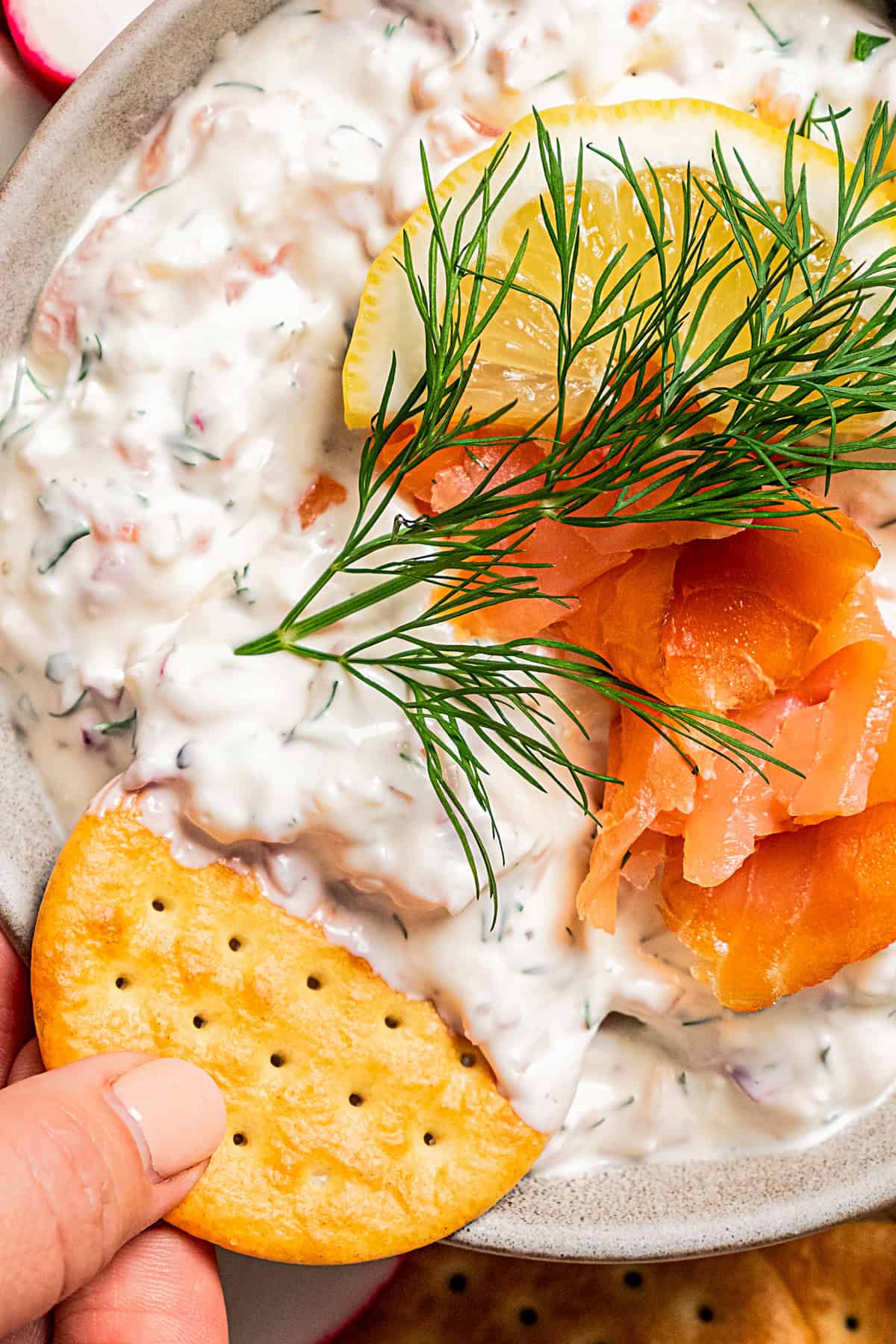 Close-up shot of a cracker dipping into salmon dip.