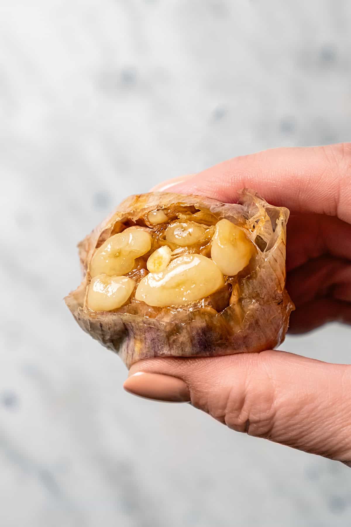 Close up of a hand pressing roasted garlic cloves from a whole bulb.