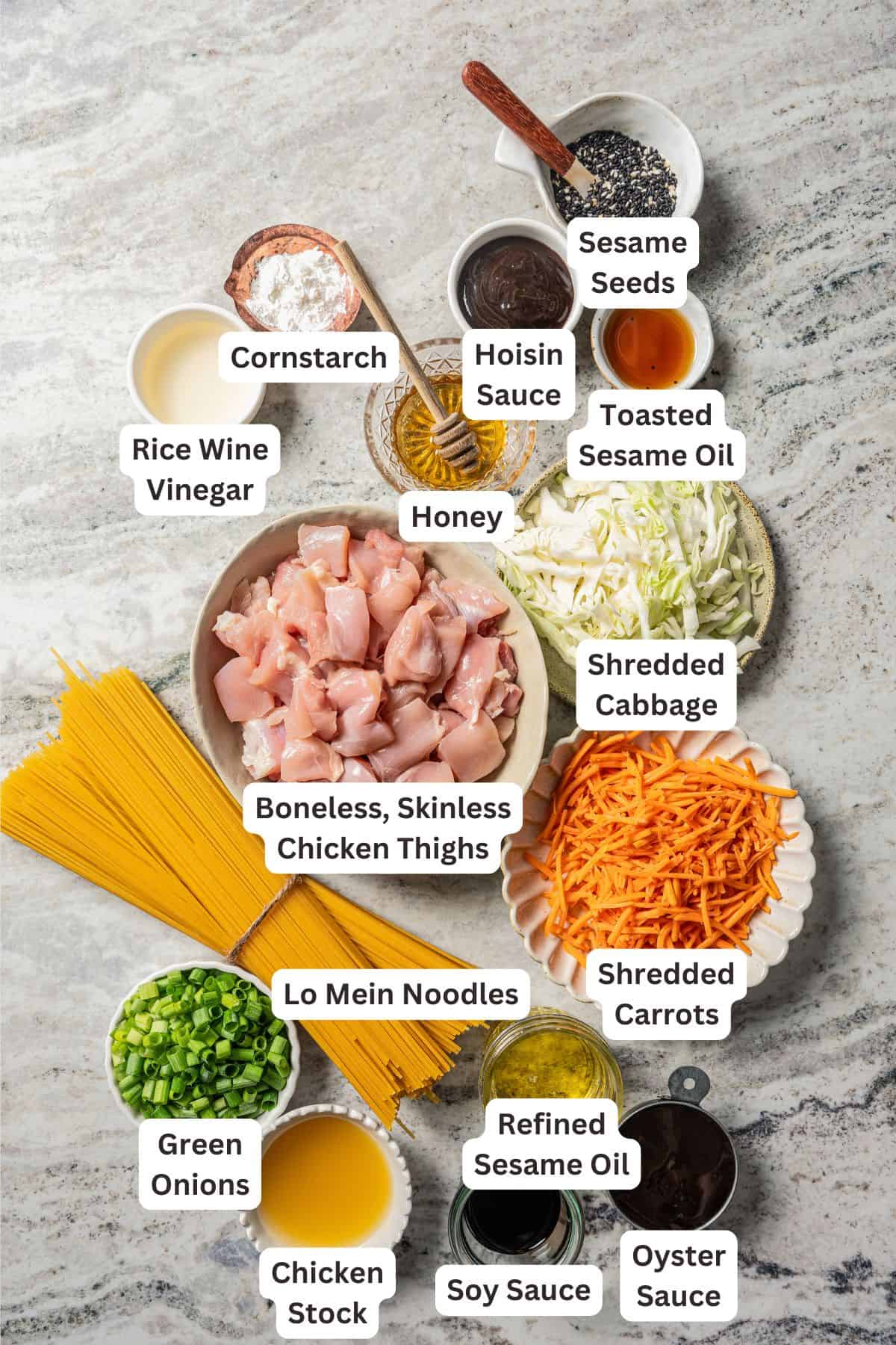 Ingredients for chicken lo mein with text labels overlaying each ingredient.