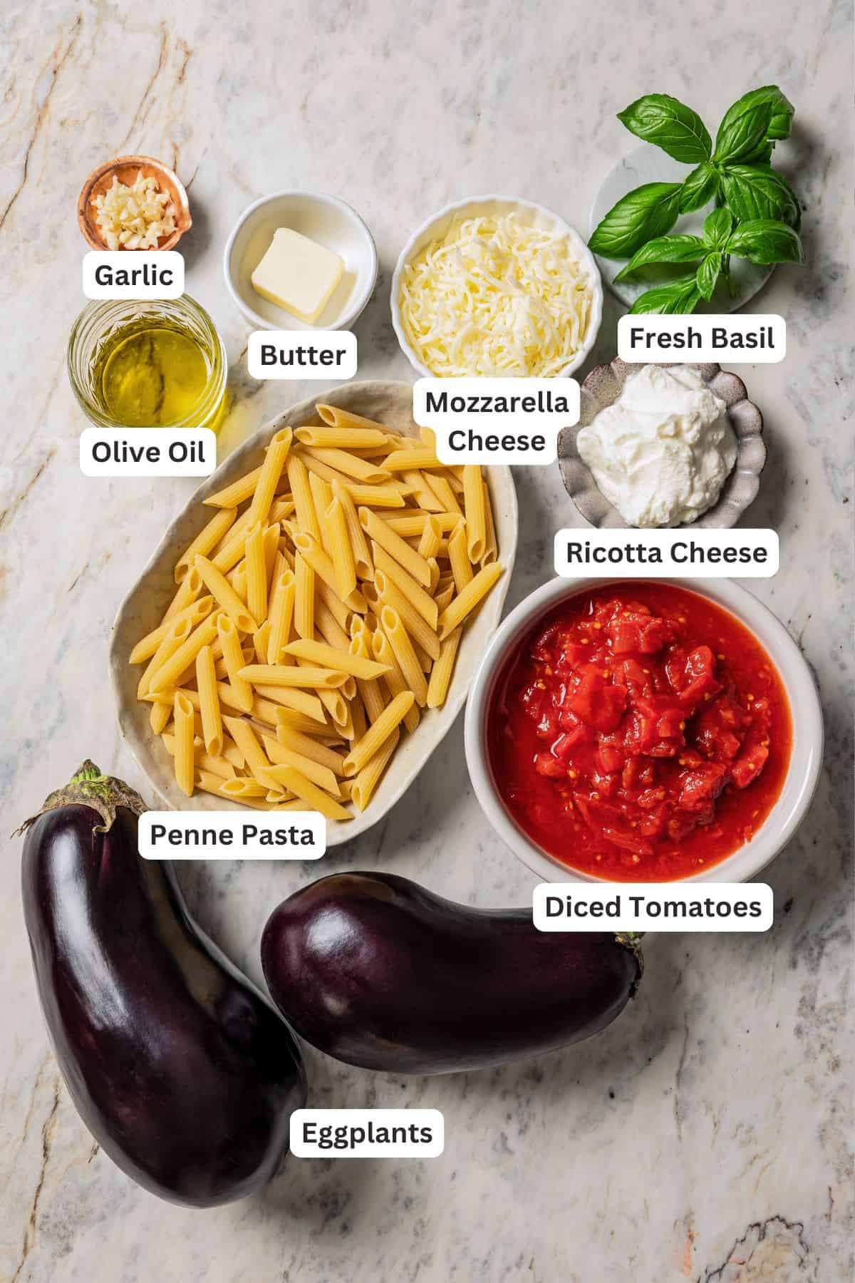 Eggplant pasta ingredients with text labels overlaying each ingredient.