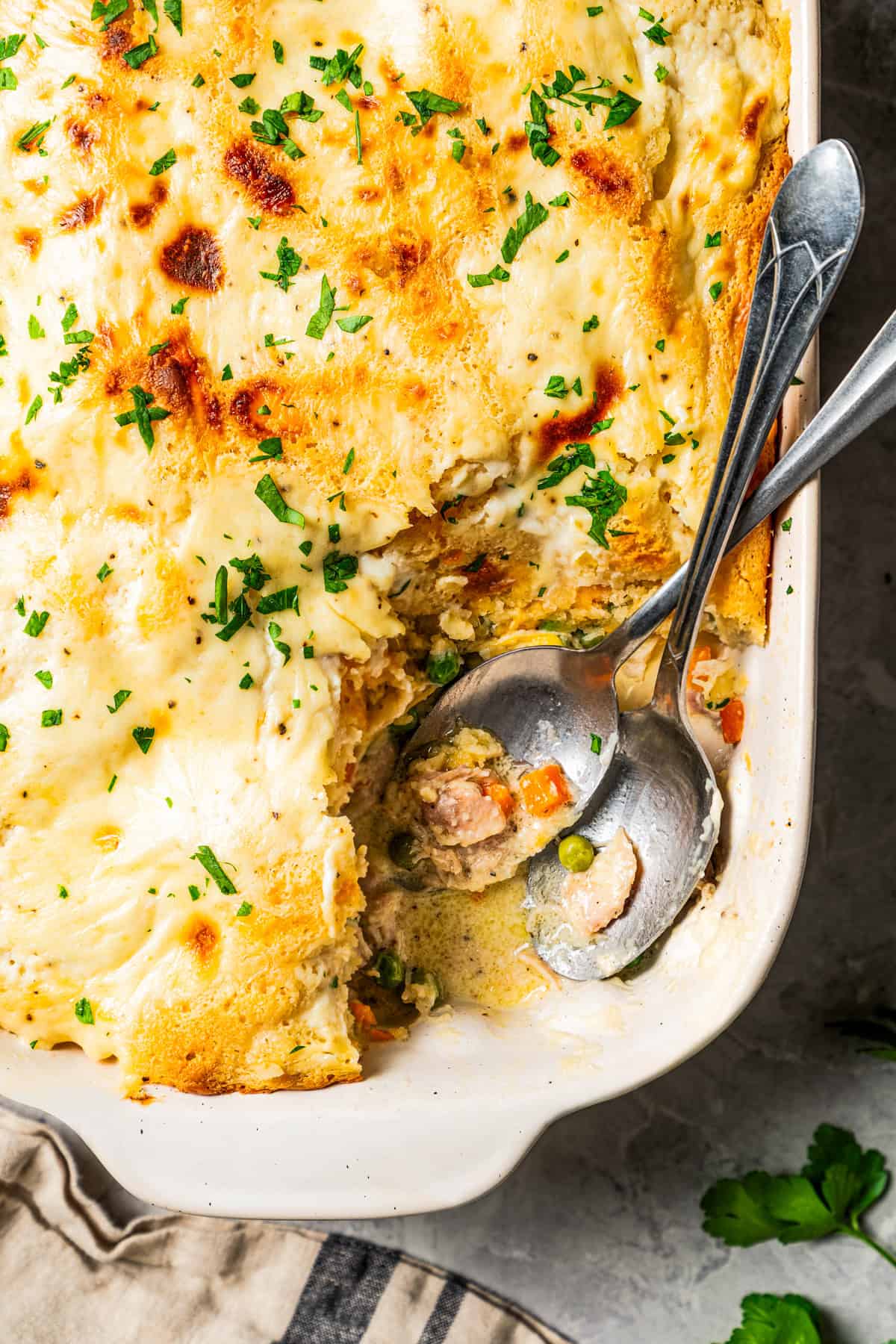 Chicken cobbler in a baking dish with a scoop being taken out.