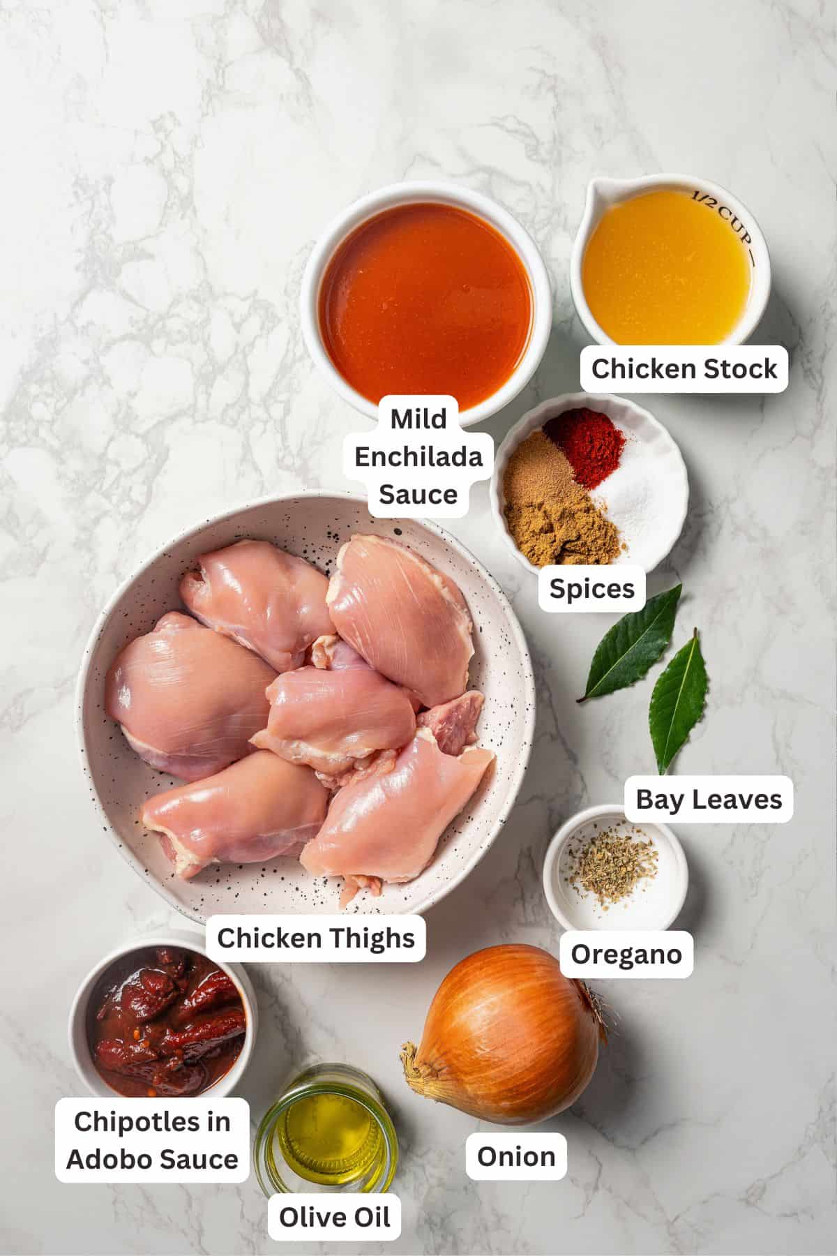 Chicken tinga ingredients with text labels overlaying each ingredient.