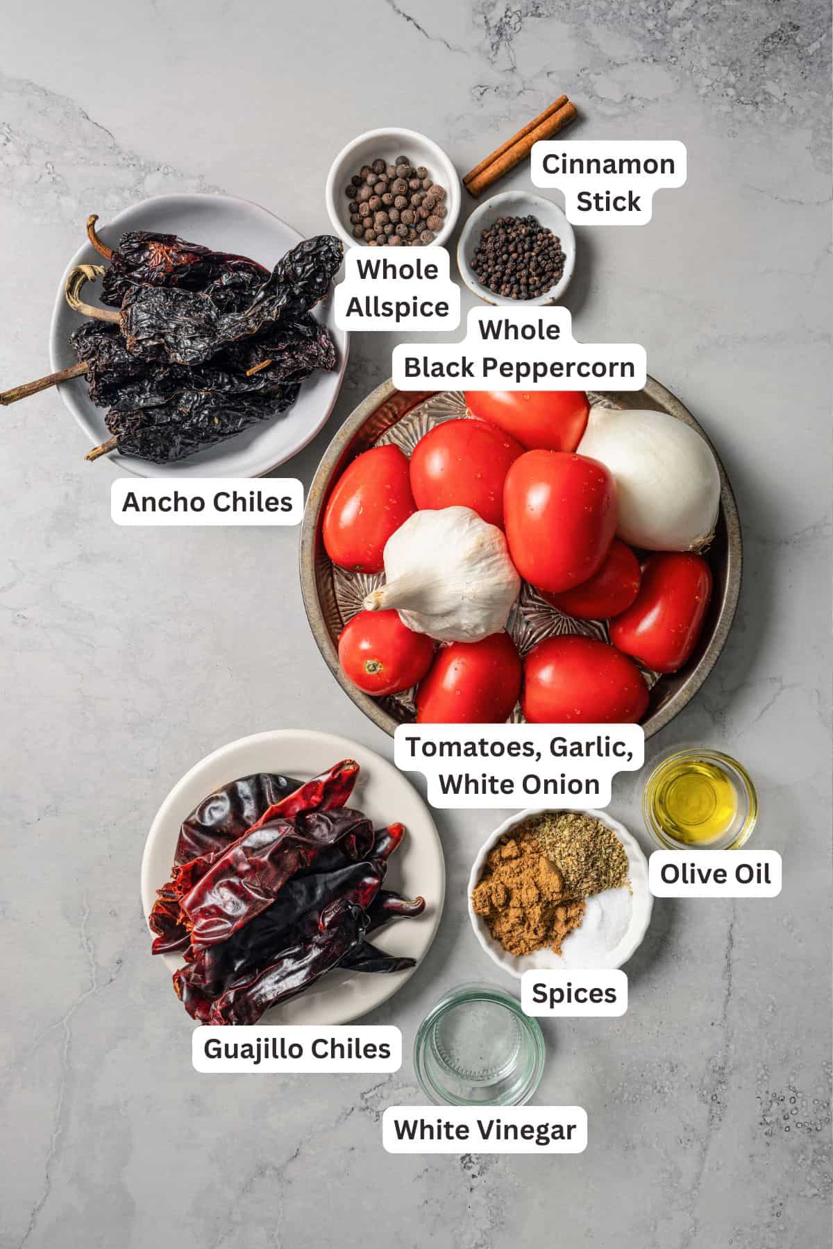 Birria sauce ingredients with text labels overlaying each ingredient.