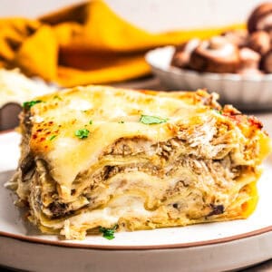 A slice of chicken lasagna served on a plate.