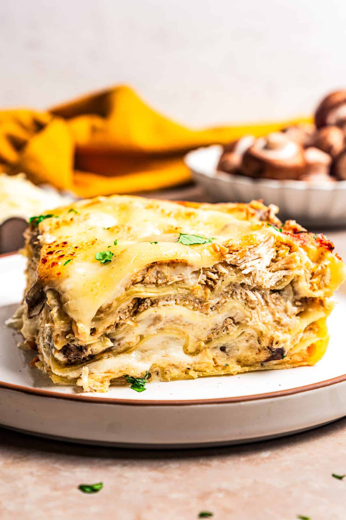 A slice of chicken lasagna served on a plate.