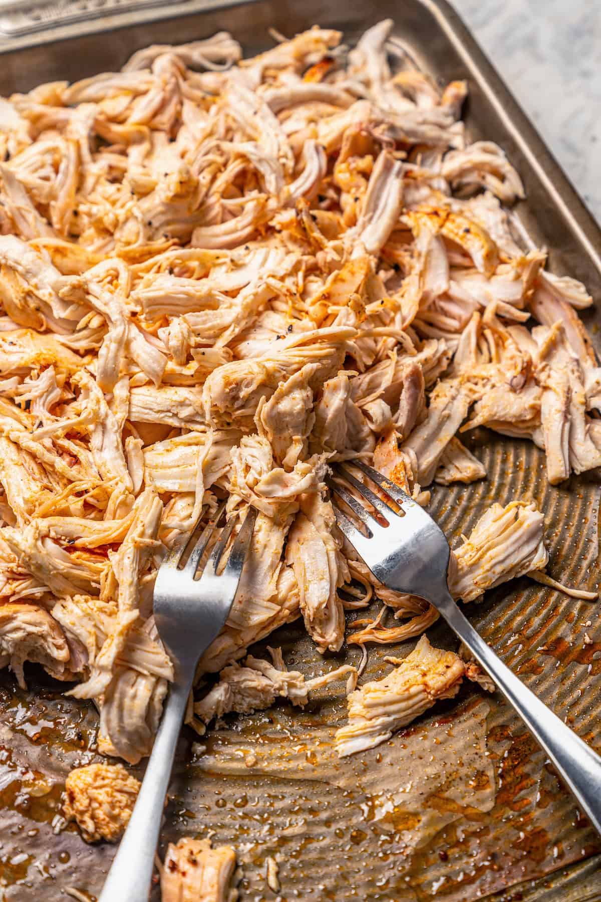 Two forks resting in shredded seasoned chicken on a baking sheet.